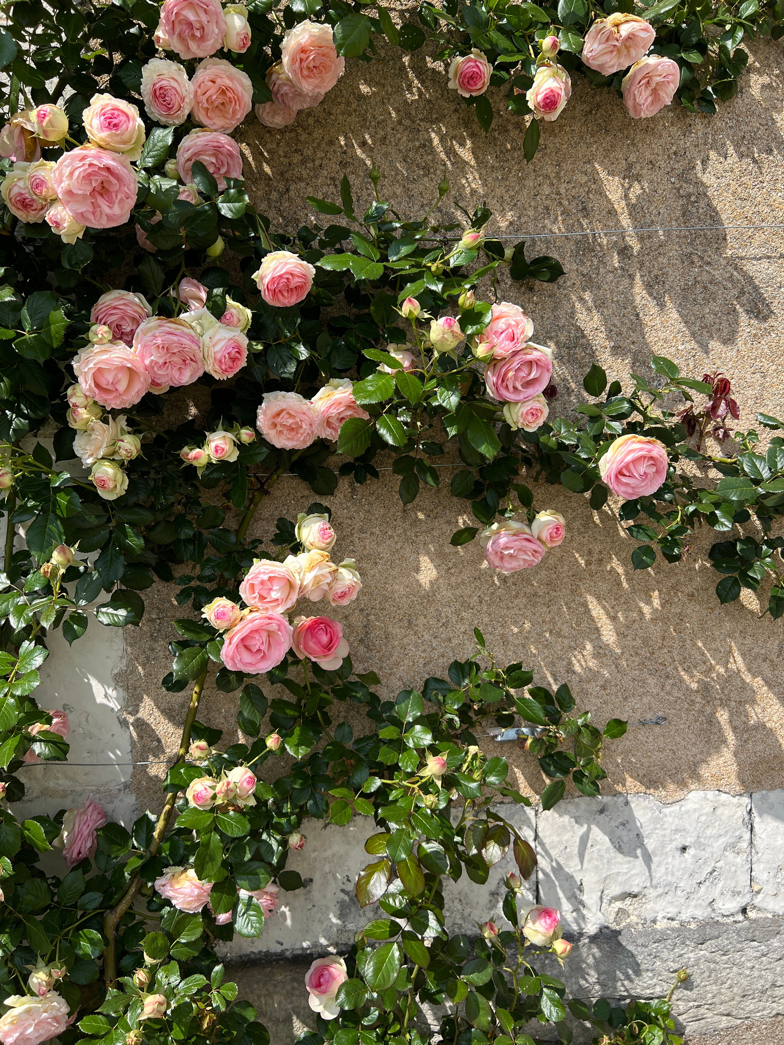 Wedding Content Creator 2026. Valeria Coconova Photographer Italy Como Milan