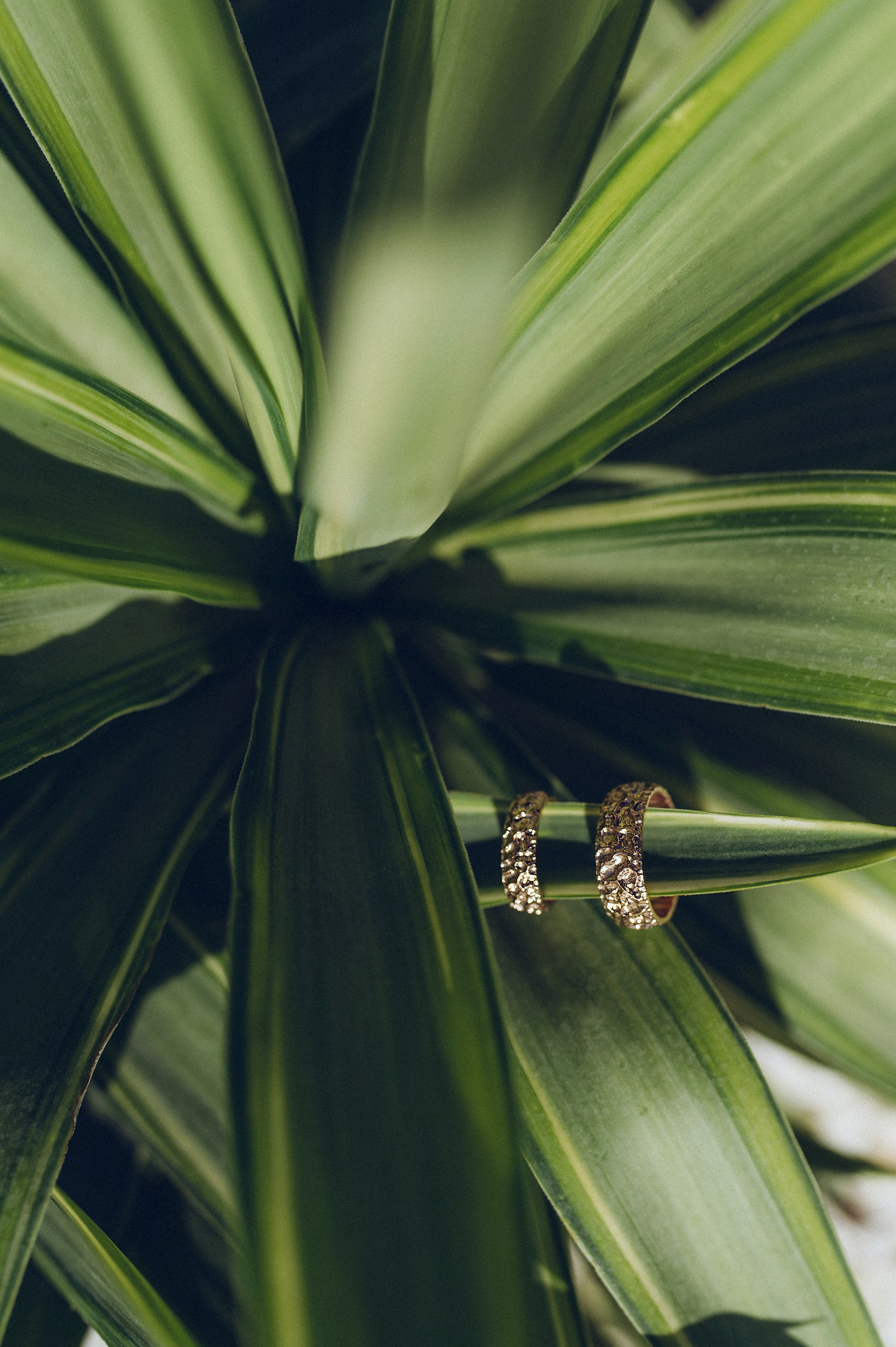 Свадебная прогулка. Фотограф в Севастополе и Крыму Горбунов Денис