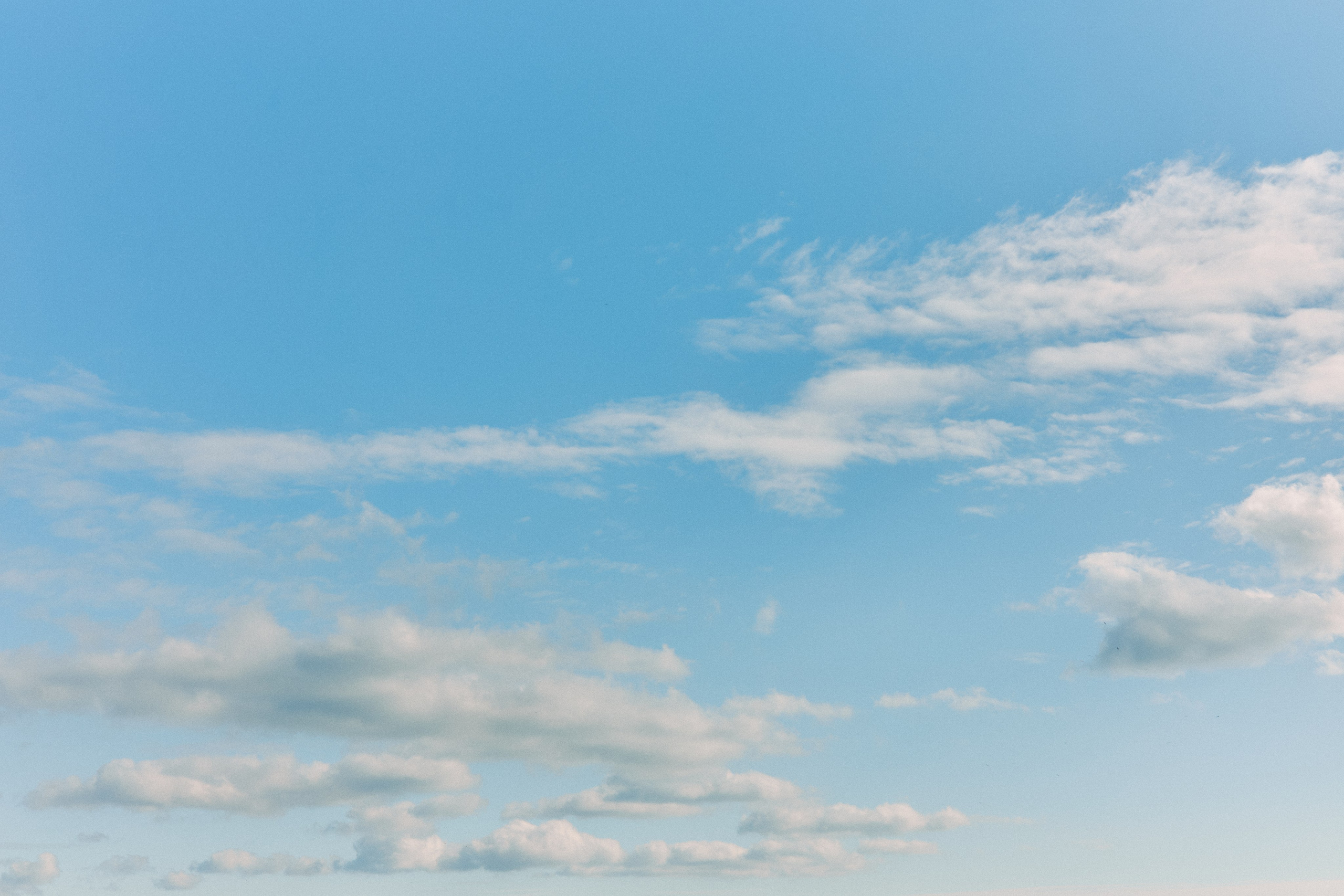 Юг России. Профессиональный Фотограф во Владимире, в Москве и в Суздале — Полина Романычева