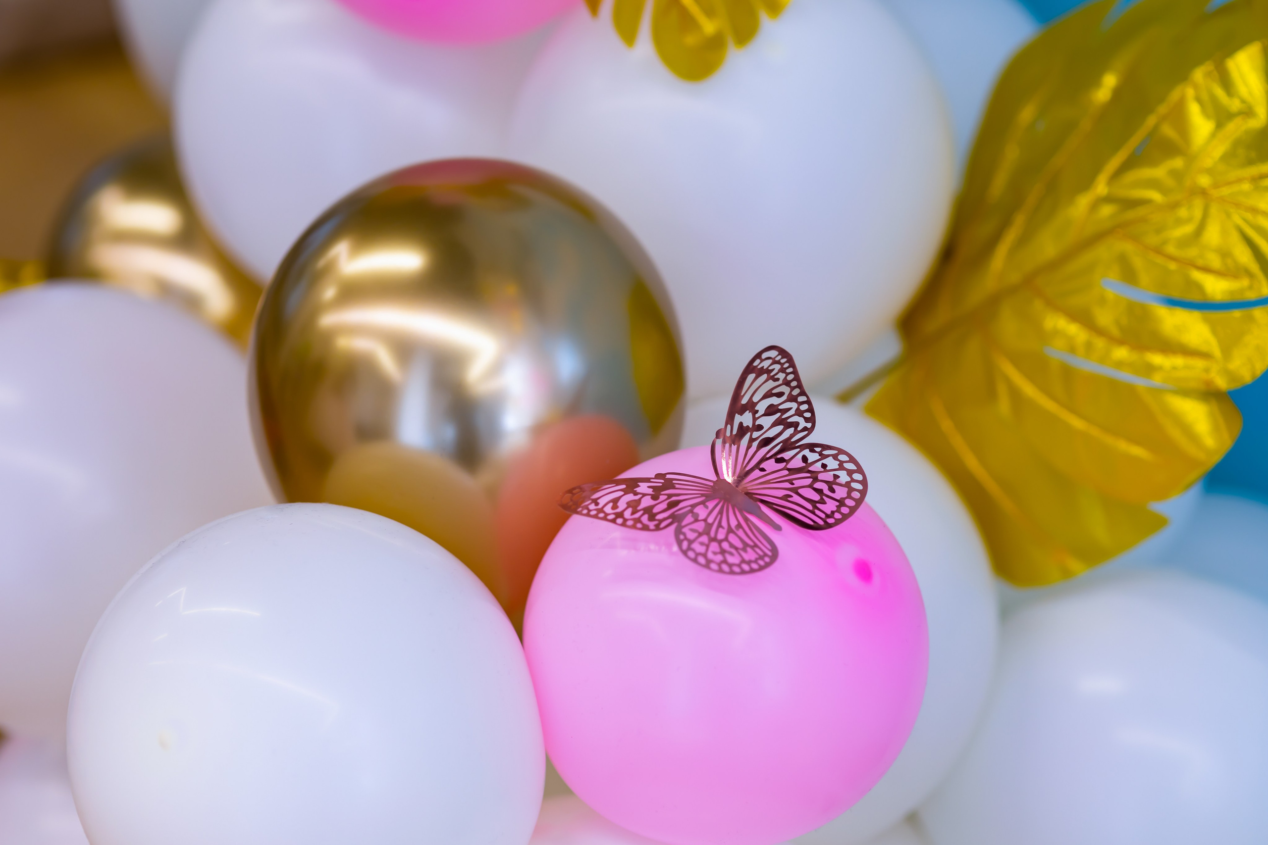 Дено рождения