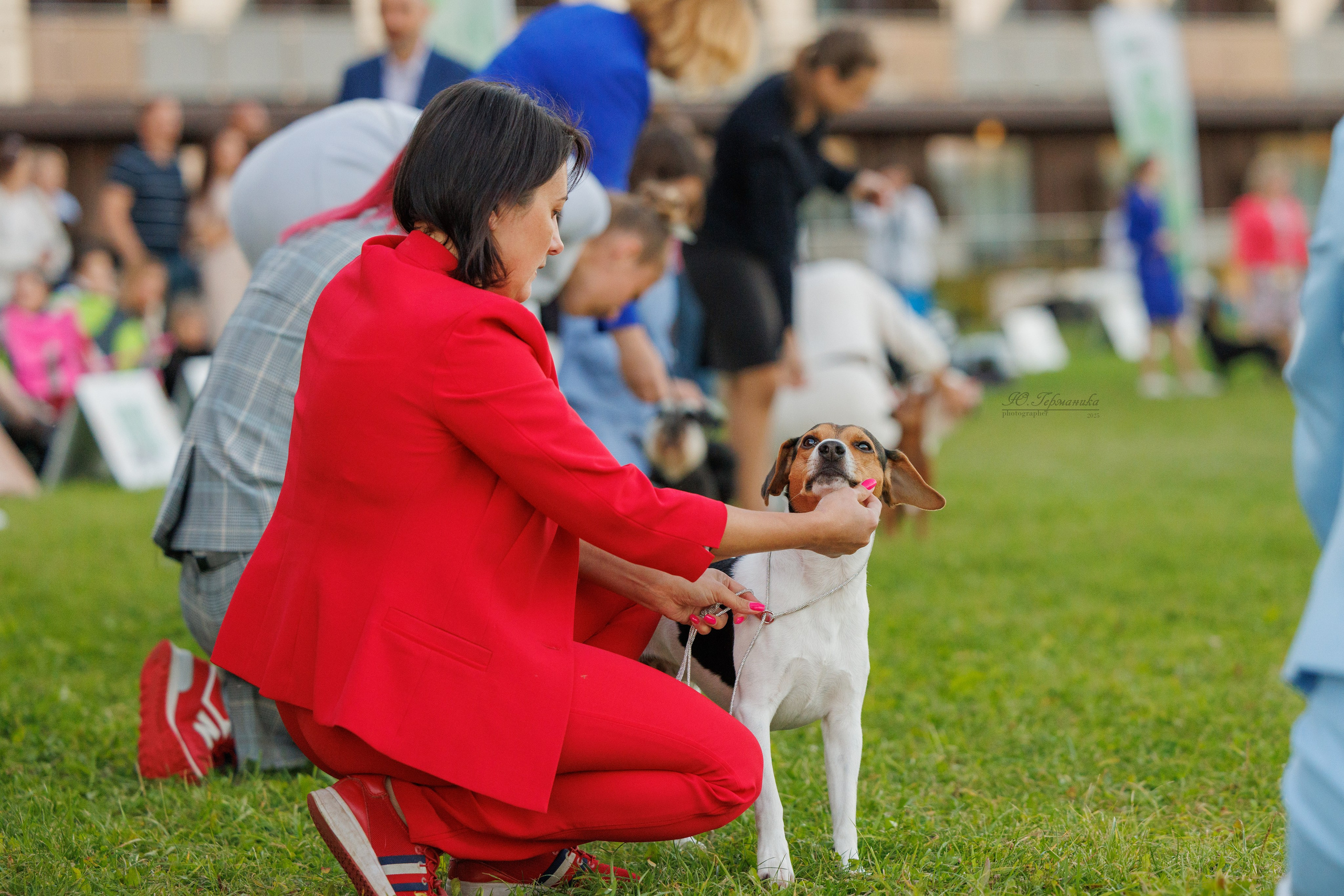 Переславль 5-7.08.2025. Фотограф-анималист Юлия Германика