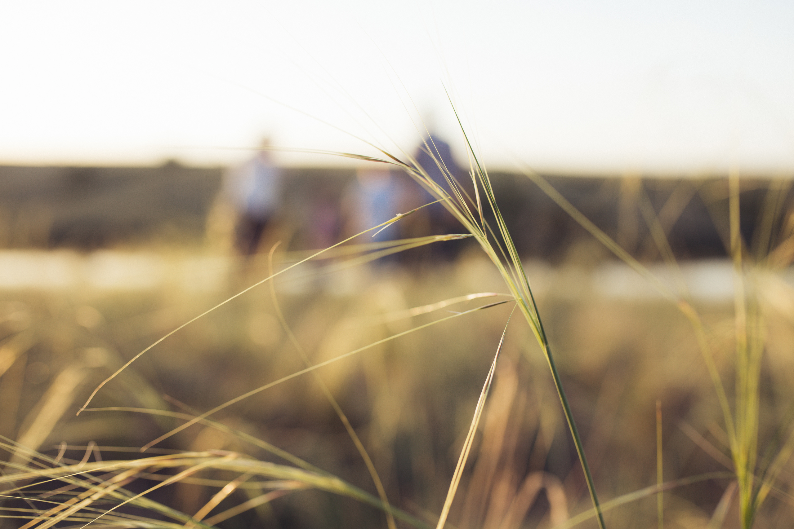 Семейная фотосессия на природе. Фотограф Валерия Ковпак. Москва. Химки. Куркино