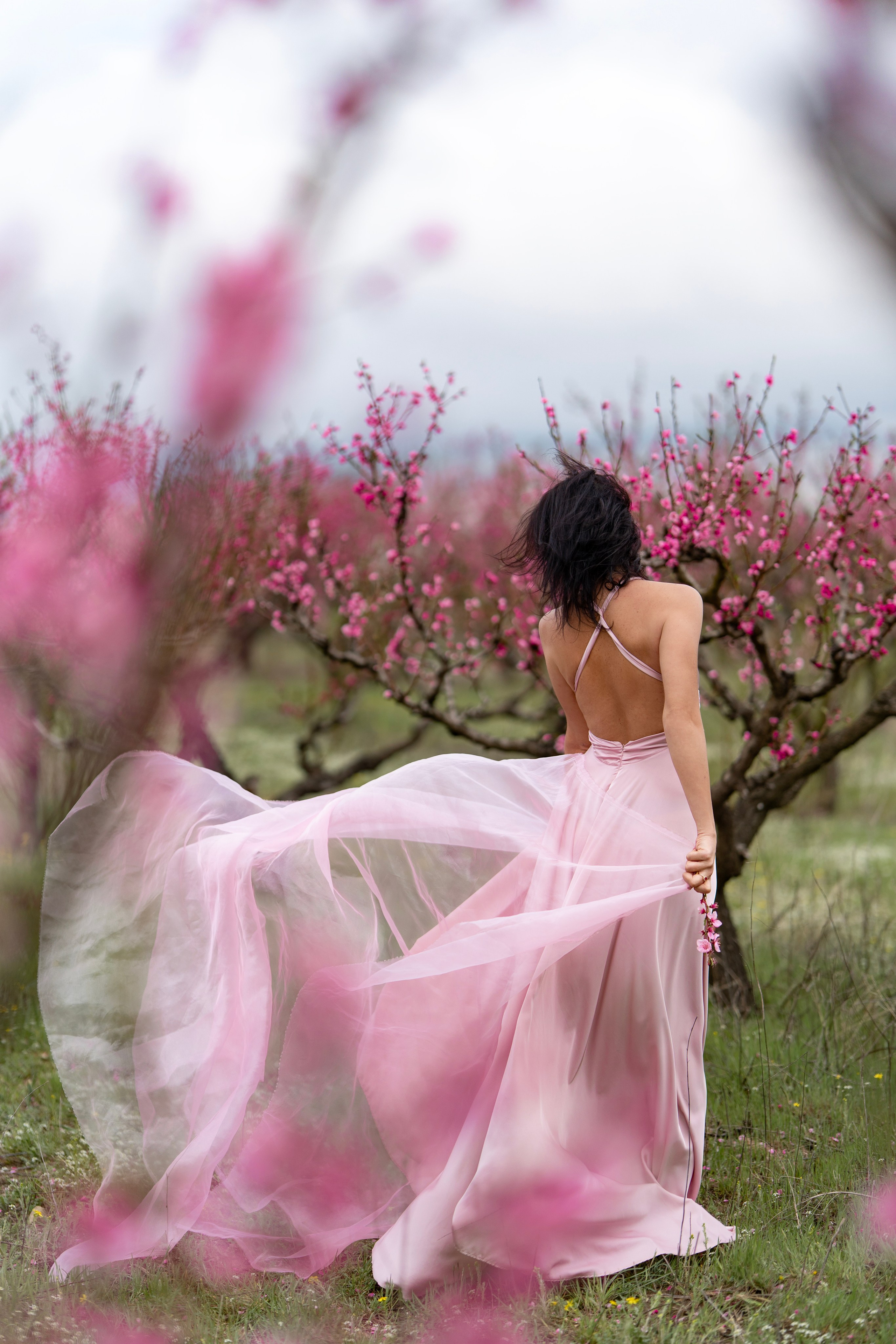 Цветущие сады. Фотограф в Крыму Лебедева Александра