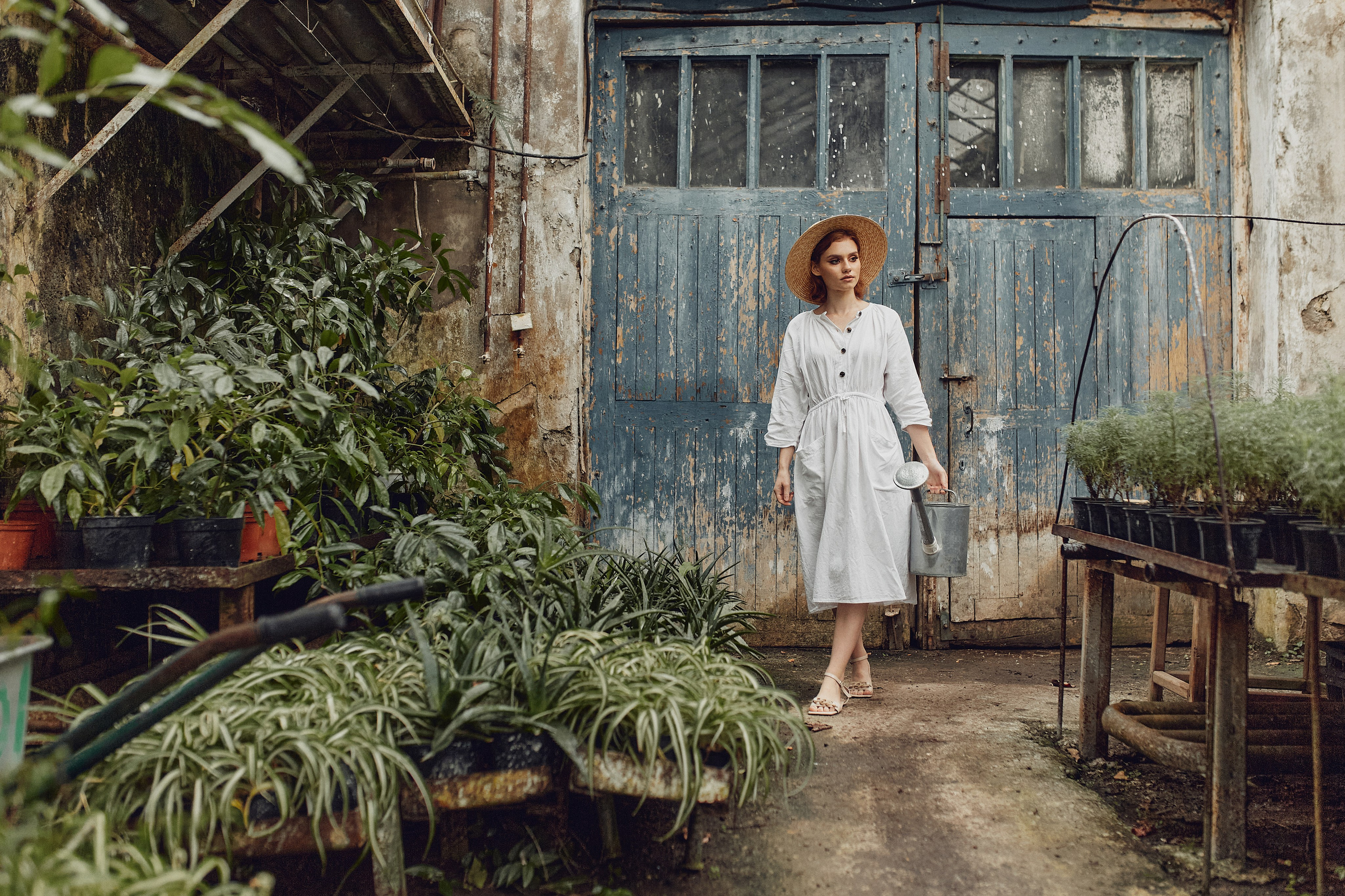 Старая оранжерея