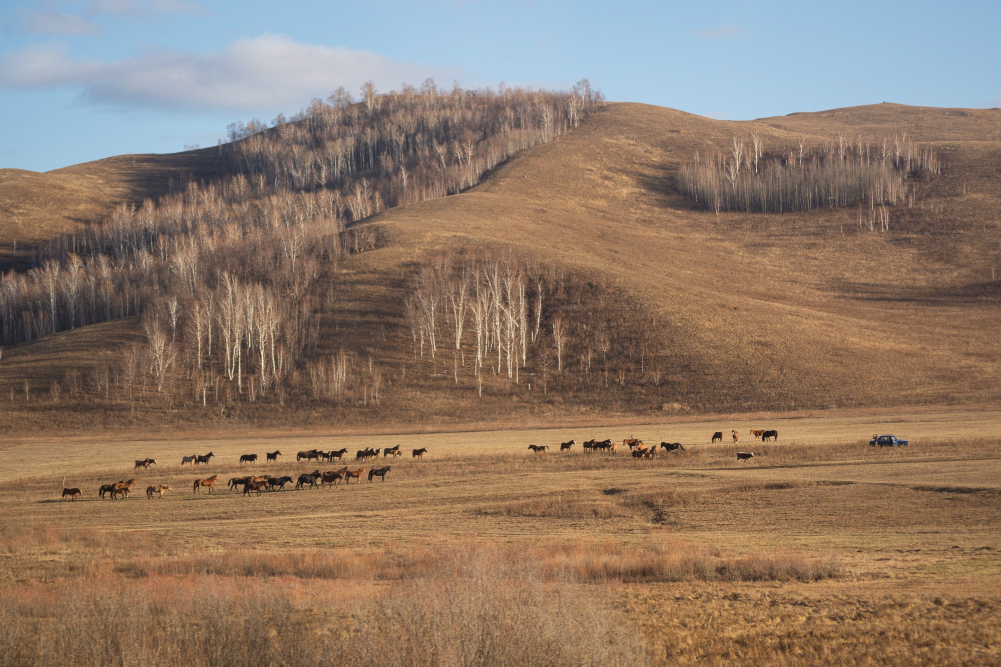 Разное. Репортажный фотограф г. Чита