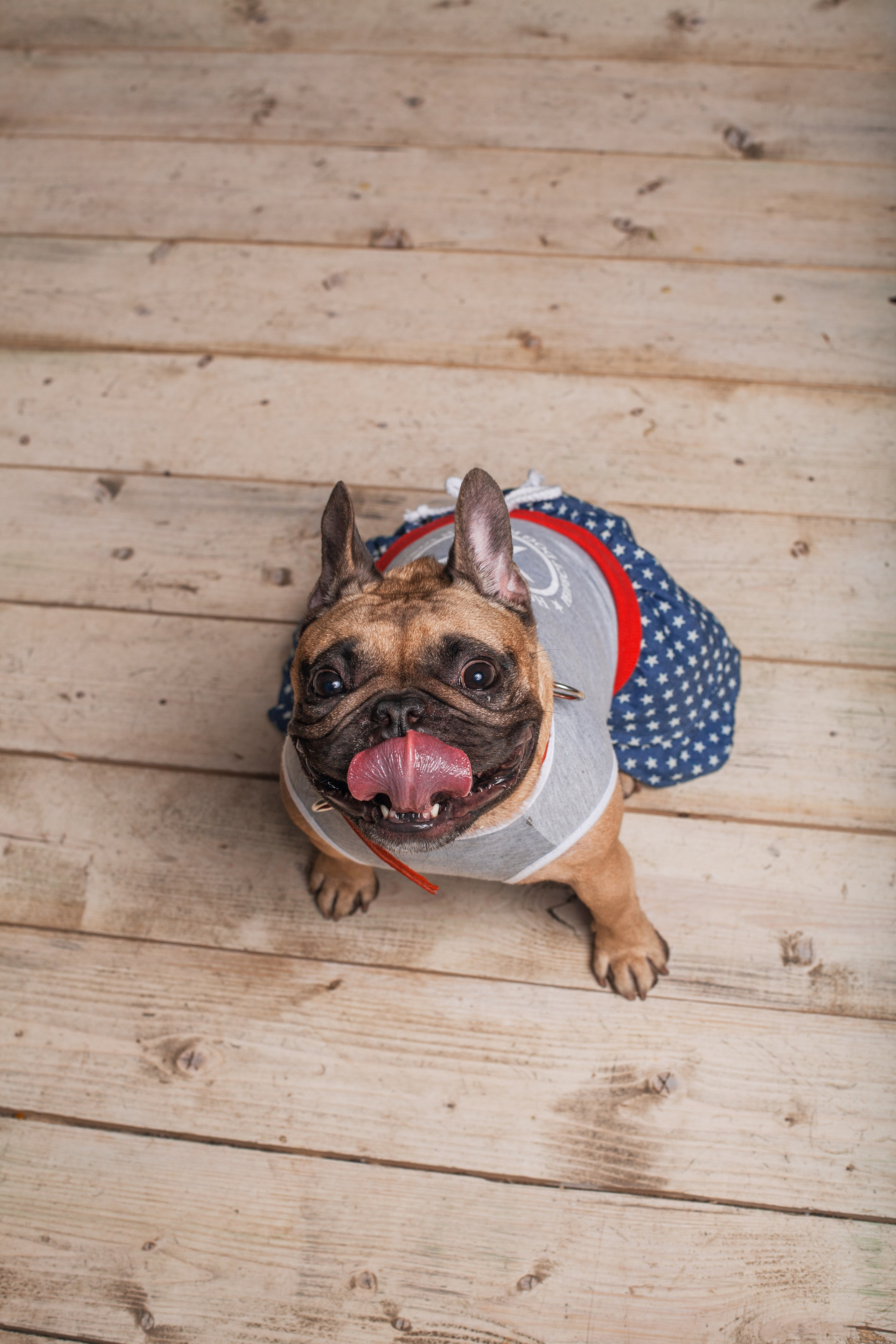 Наталья и Фрося. Фотограф-анималист Татьяна Степанова