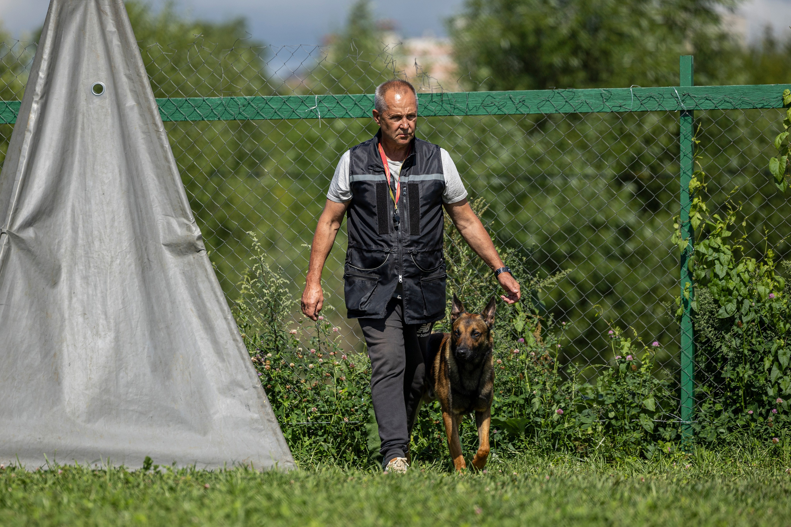 Соревнования по Мондьорингу г. Вологда 10-11.08.2024. Фотограф-анималист Анна Маринич