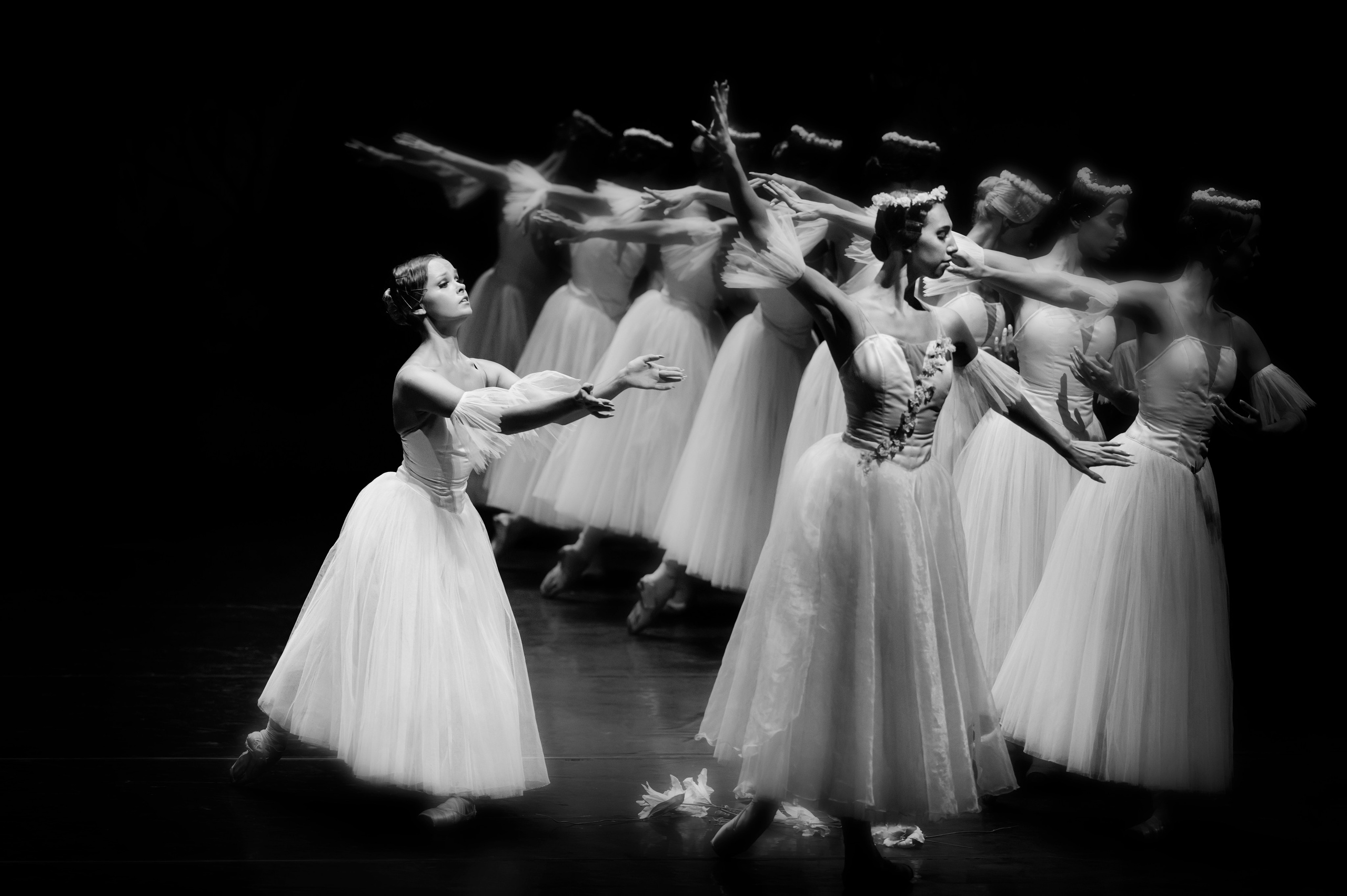 Жизель для Moscow ballet la Classique. Балетный фотограф Москва Майоров Николай
