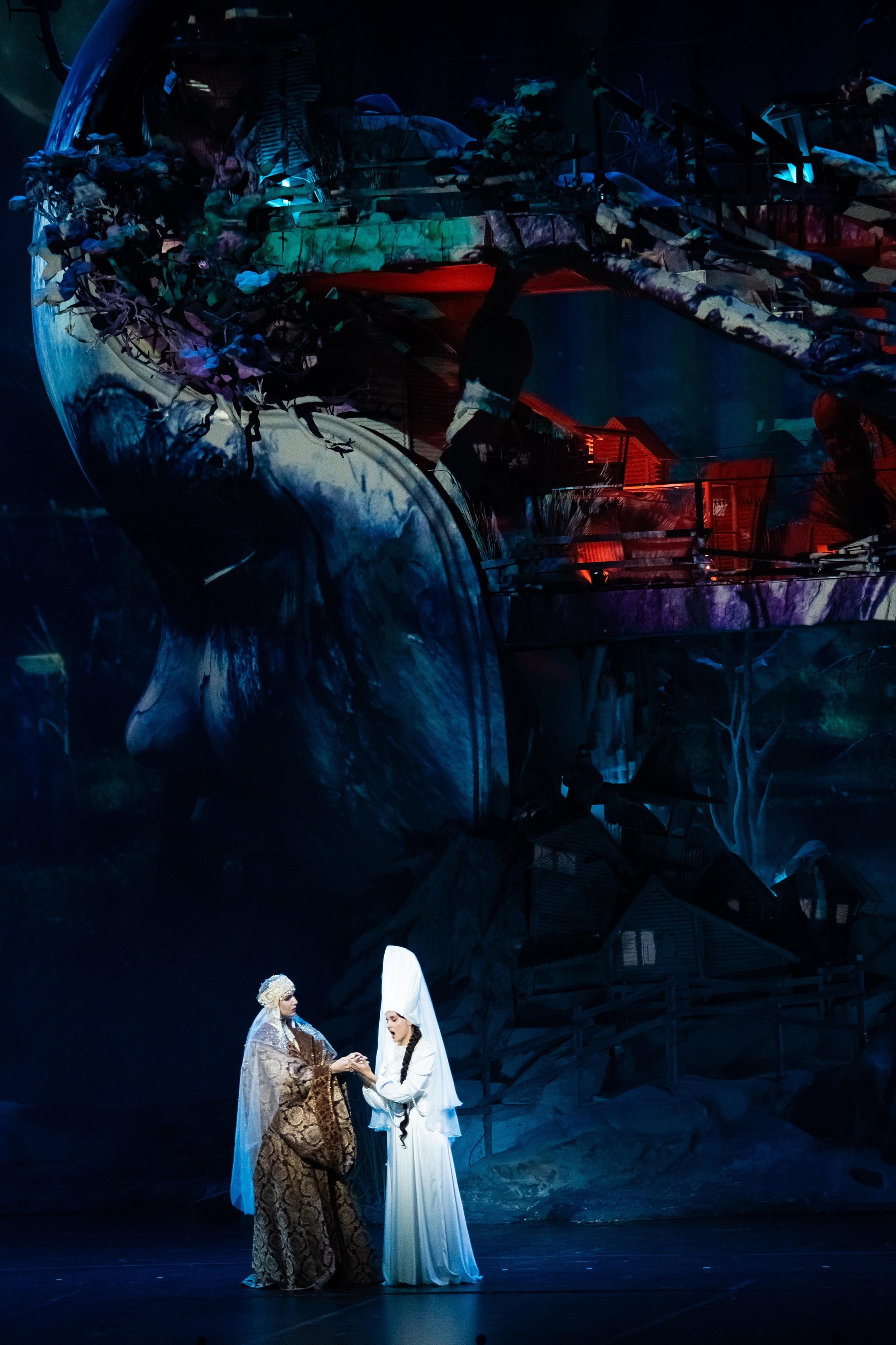 Мандрагора. Фотограф и видеограф Евгений Романов Санкт-Петербург