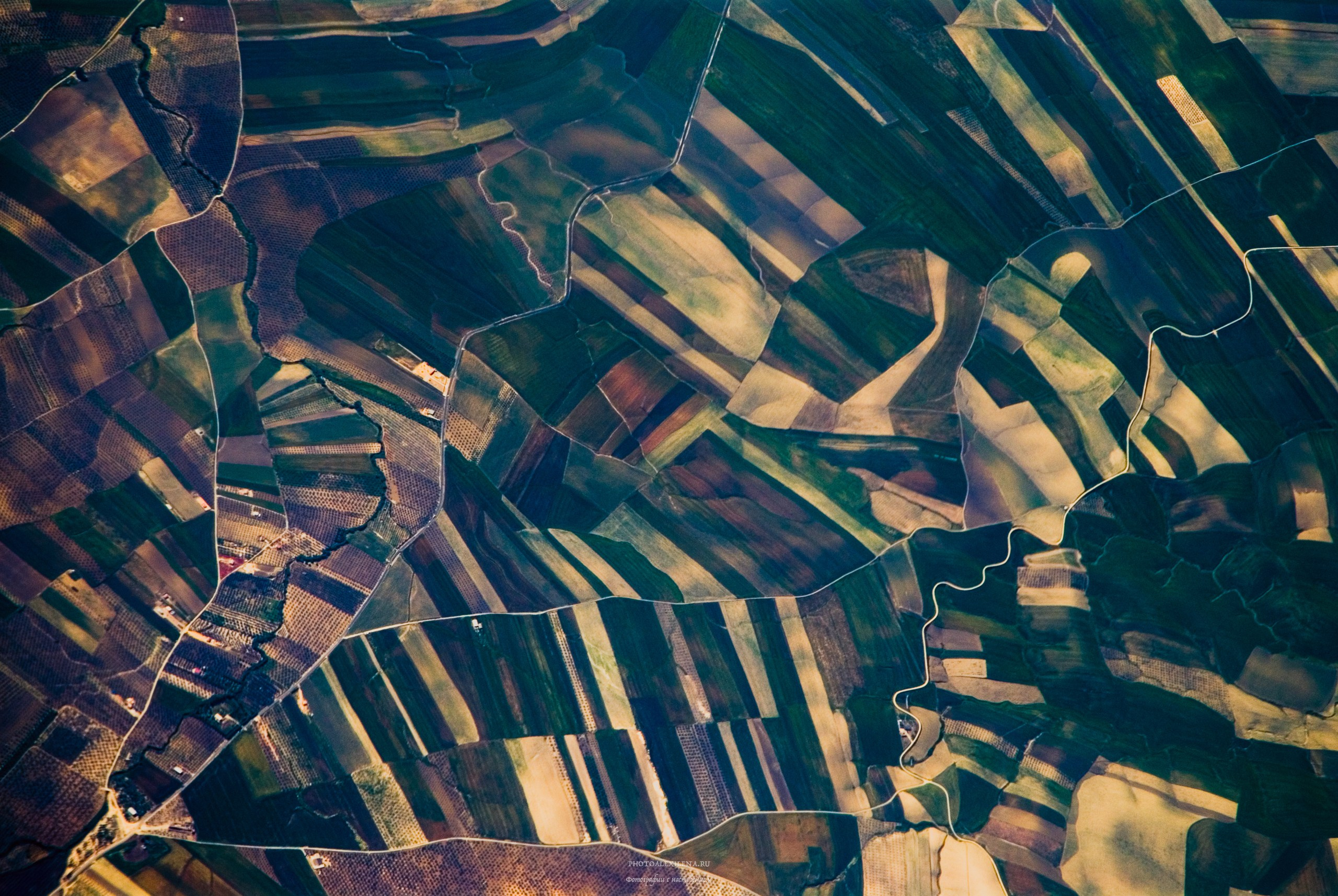 Осязаемая красота. Авторские стильные фотокартины