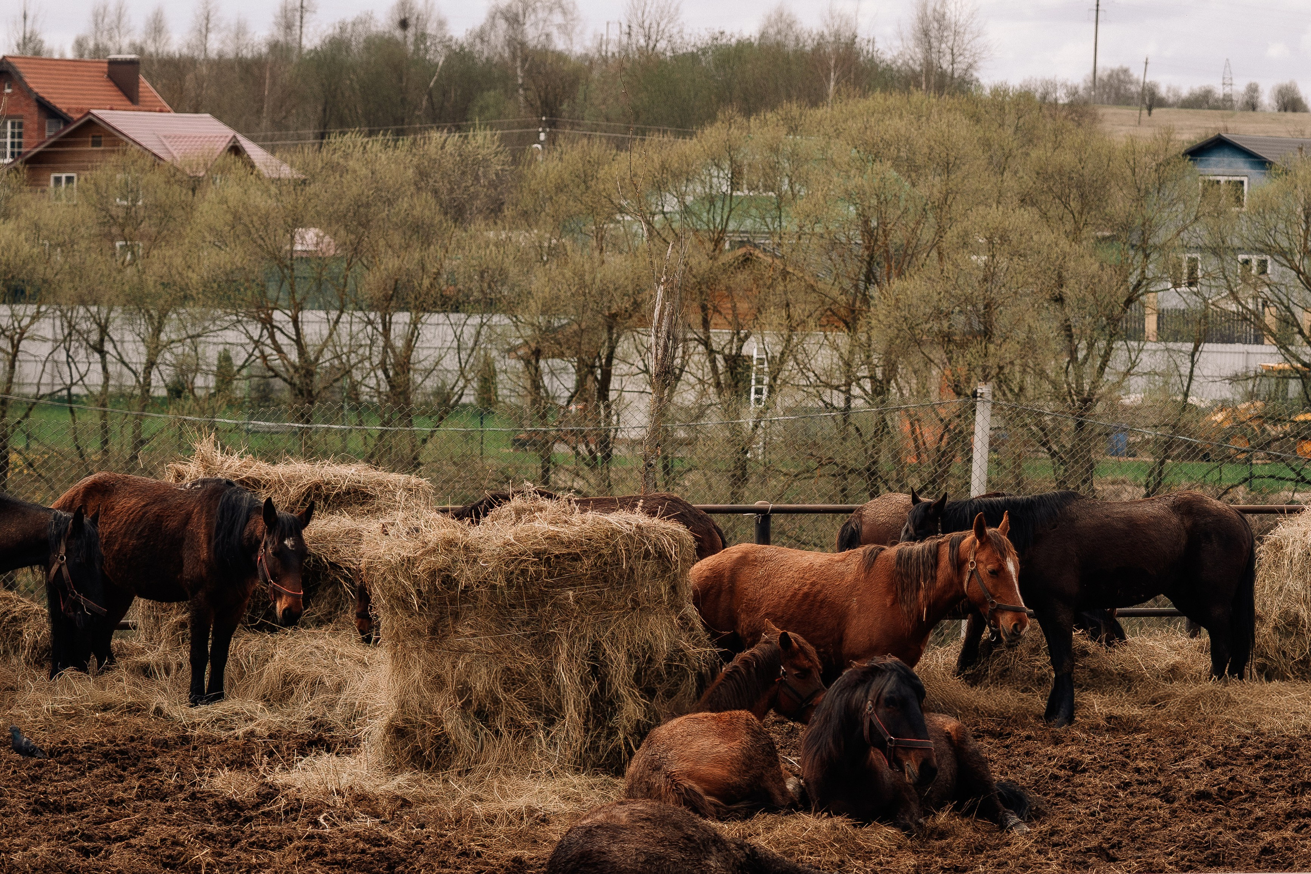 Фотосъемка мероприятия в ранчо Аванпост. Свадебный и семейный фотограф в Москве и МО Геннадий Туманцев