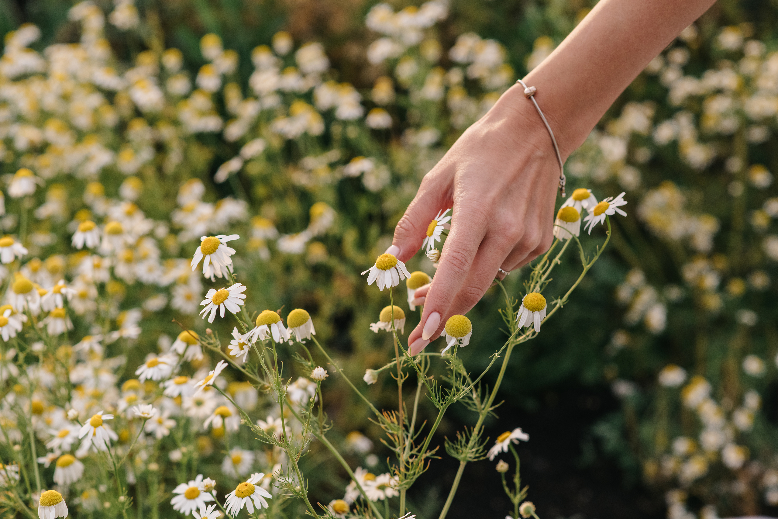 Alina. Свадебный фотограф Екатеринбург/Челябинск — Любовь Волохова