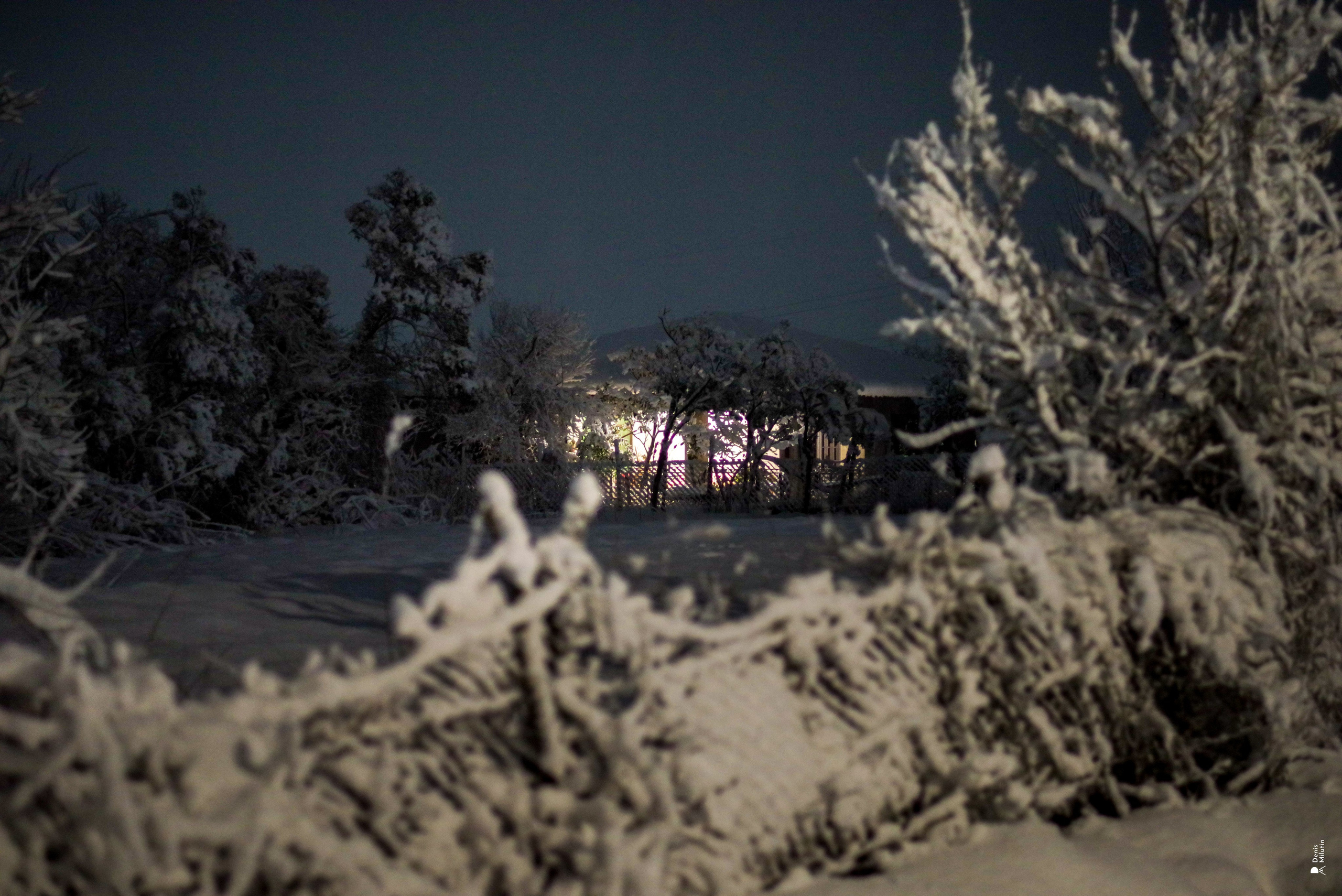 Ночь в Менджи. Портретный фотограф Денис Милютин