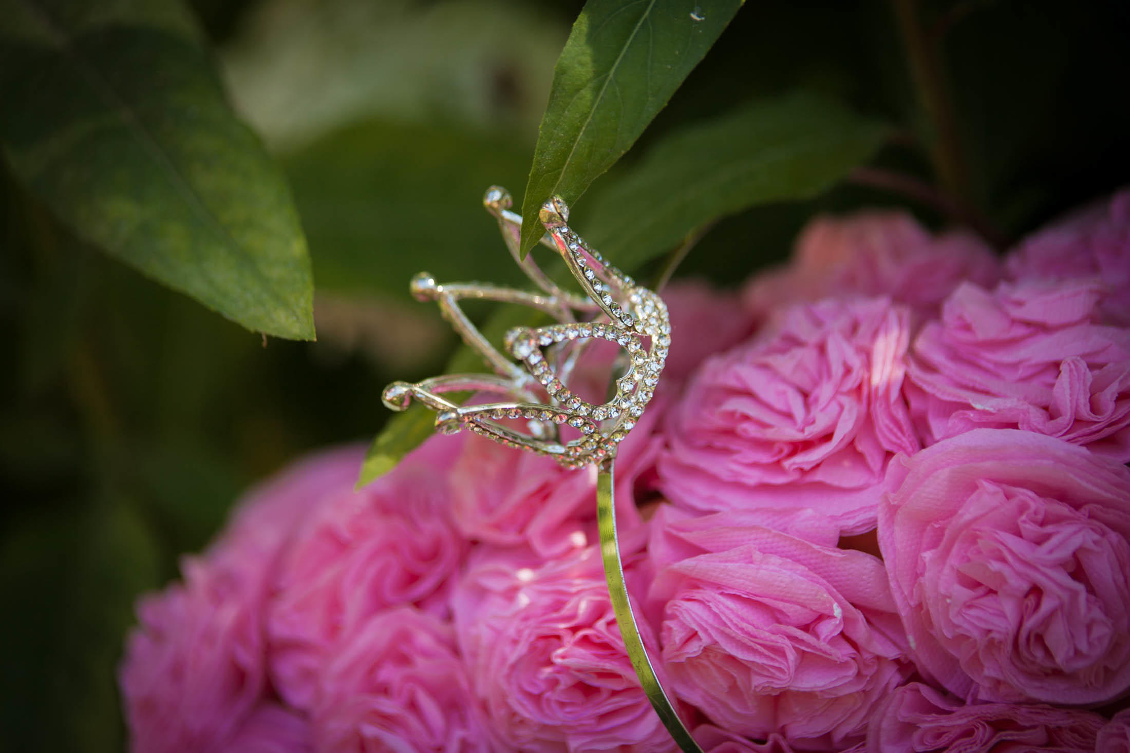 семейный фотограф новороссийск, семейная фотосессия новороссийск, фотосессия в абрау, семейный фотограф в новороссийске,семейный и детский фотограф в новороссийске, семейная фотосессия в новороссийске,  детская фотосессия в новороссийске, фотограф новороссийск, абрау-дюрсо, геленджик, анапа,
фотограф на свадьбу в Новороссийске, свадебный фотограф Новороссийск, семейный фотограф Новороссийск,  свадебная фотосессия в Новороссийске, фото невесты, фото жениха, фотомолодых, фотосессия в ЗАГСе Новороссийска, фотосессия церемонии, свадебная фотосессия на прогулке , фотопрогулка в Новороссийске, невеста, жених, букет невесты, платье невесты, гости на свадьбе, студийная фотосессия в новороссийске, портретная фотосъёмка новороссийск