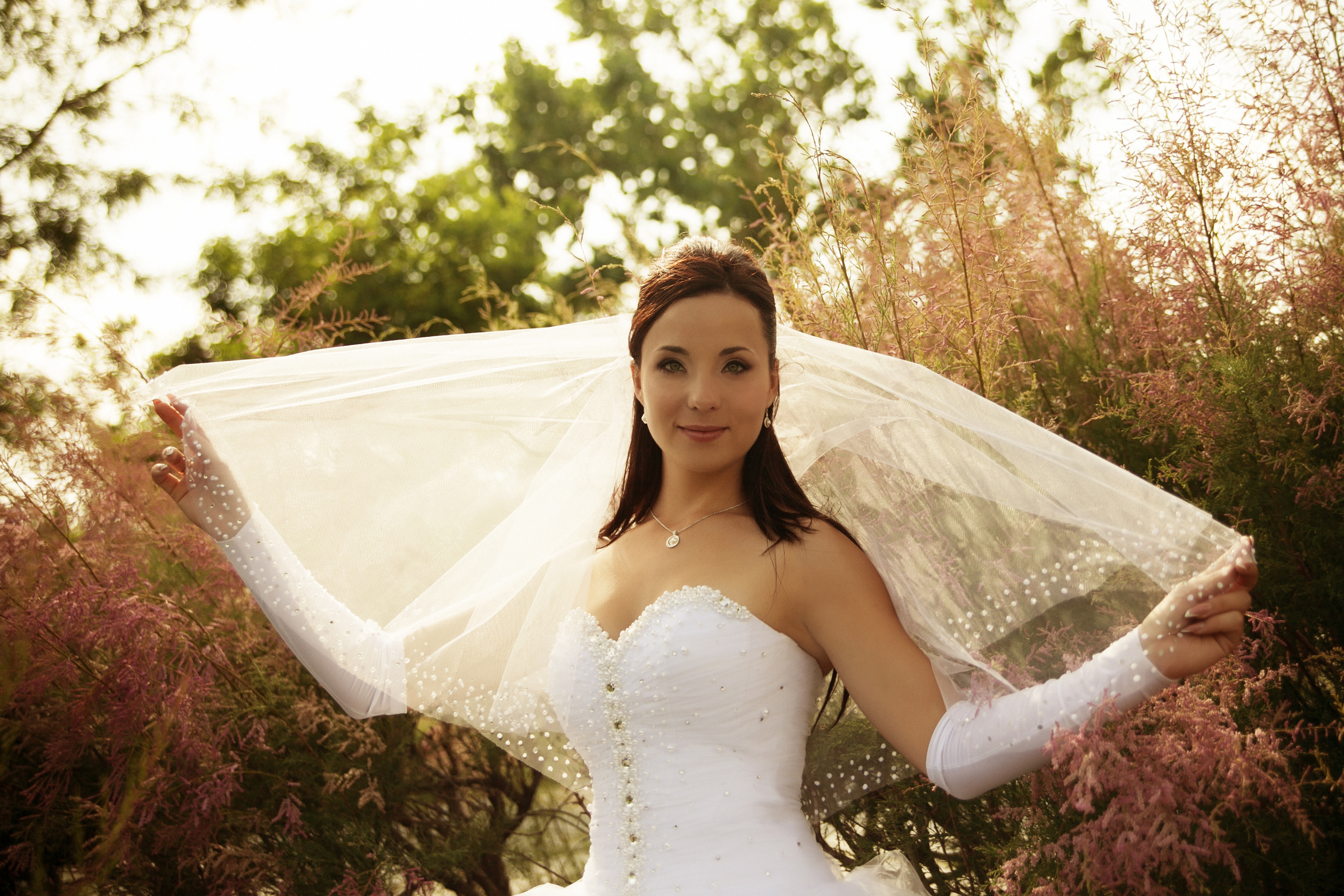 фотограф на свадьбу в Новороссийске, свадебный фотограф Новороссийск, семейный фотограф Новороссийск,  свадебная фотосессия в Новороссийске, фото невесты, фото жениха, фотомолодых, фотосессия в ЗАГСе Новороссийска, фотосессия церемонии, свадебная фотосессия на прогулке , фотопрогулка в Новороссийске, невеста, жених, букет невесты, платье невесты, гости на свадьбе, горько молодым