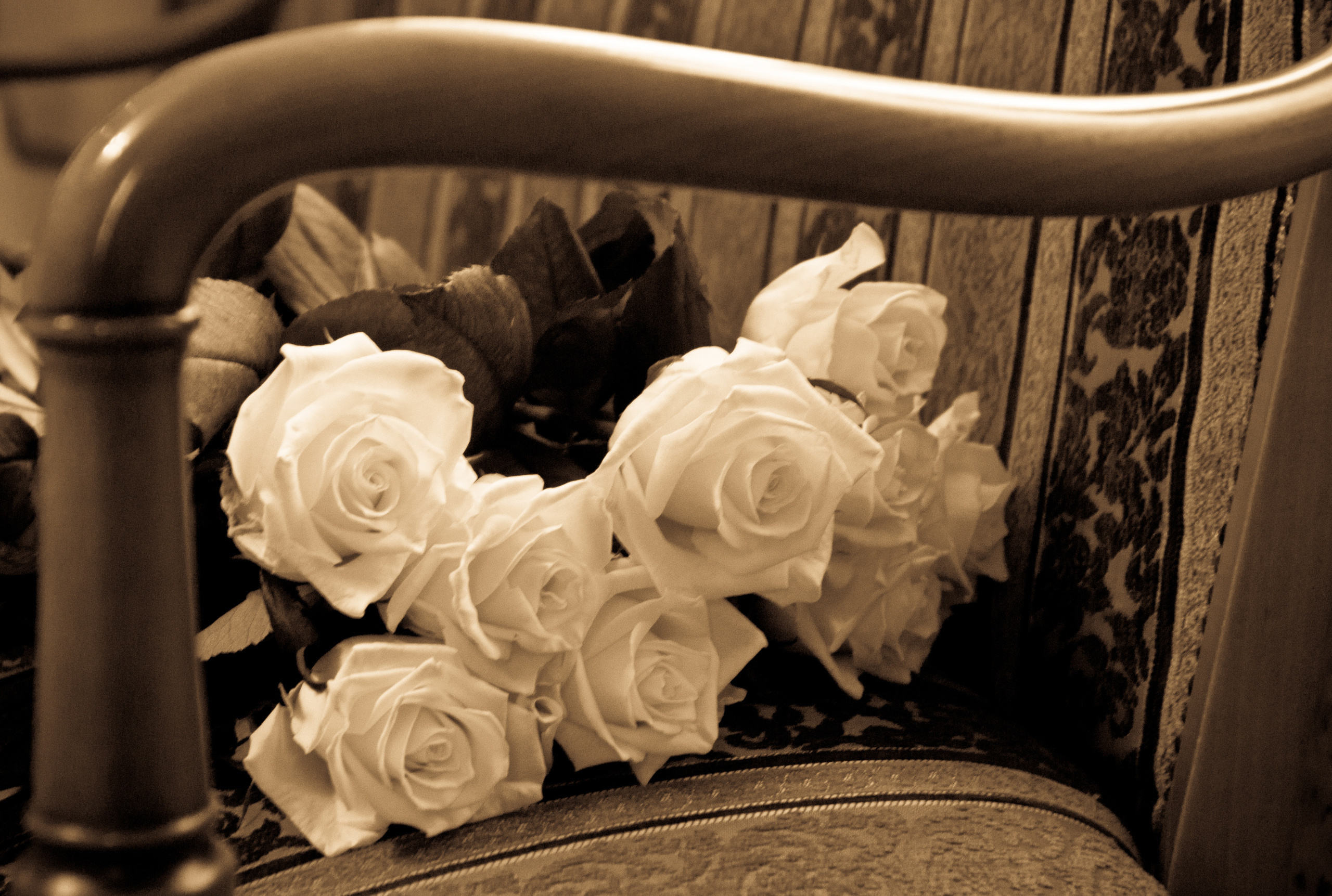 фотограф на свадьбу в Новороссийске, свадебный фотограф Новороссийск, семейный фотограф Новороссийск,  свадебная фотосессия в Новороссийске, фото невесты, фото жениха, фотомолодых, фотосессия в ЗАГСе Новороссийска, фотосессия церемонии, свадебная фотосессия на прогулке , фотопрогулка в Новороссийске, невеста, жених, букет невесты, платье невесты, гости на свадьбе, горько молодым