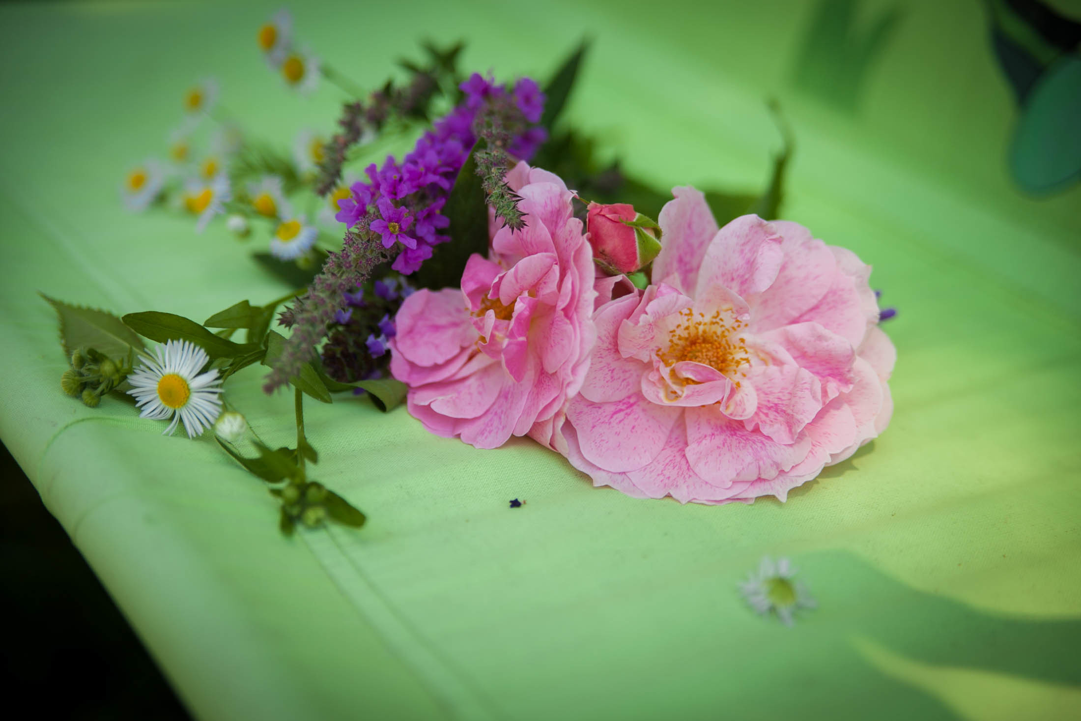 семейный фотограф новороссийск, семейная фотосессия новороссийск, фотосессия в абрау, семейный фотограф в новороссийске,семейный и детский фотограф в новороссийске, семейная фотосессия в новороссийске,  детская фотосессия в новороссийске, фотограф новороссийск, абрау-дюрсо, геленджик, анапа,
фотограф на свадьбу в Новороссийске, свадебный фотограф Новороссийск, семейный фотограф Новороссийск,  свадебная фотосессия в Новороссийске, фото невесты, фото жениха, фотомолодых, фотосессия в ЗАГСе Новороссийска, фотосессия церемонии, свадебная фотосессия на прогулке , фотопрогулка в Новороссийске, невеста, жених, букет невесты, платье невесты, гости на свадьбе, студийная фотосессия в новороссийске, портретная фотосъёмка новороссийск