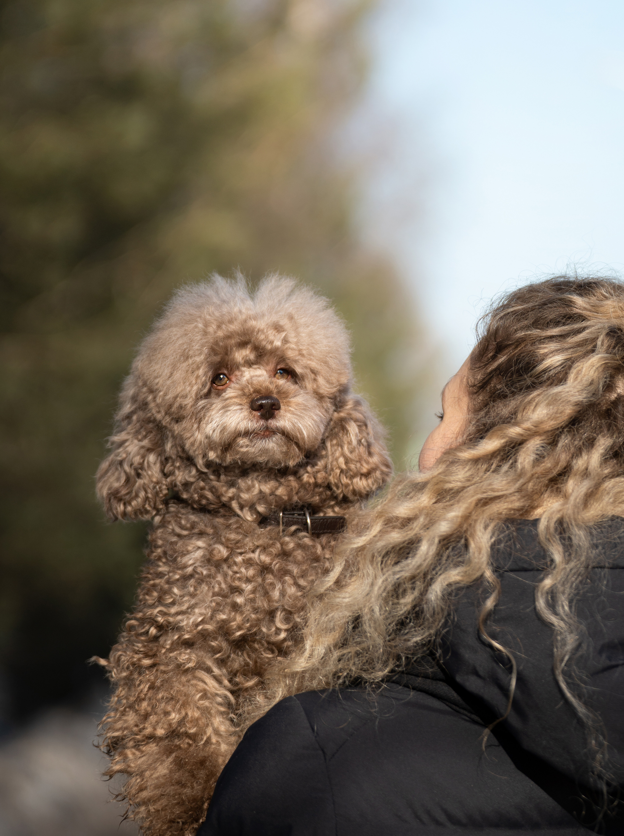 Миша Лева и Кристина. Фотограф анималист