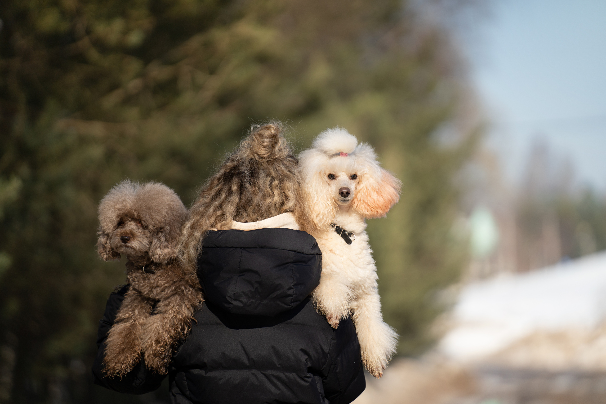 Миша Лева и Кристина. Фотограф анималист