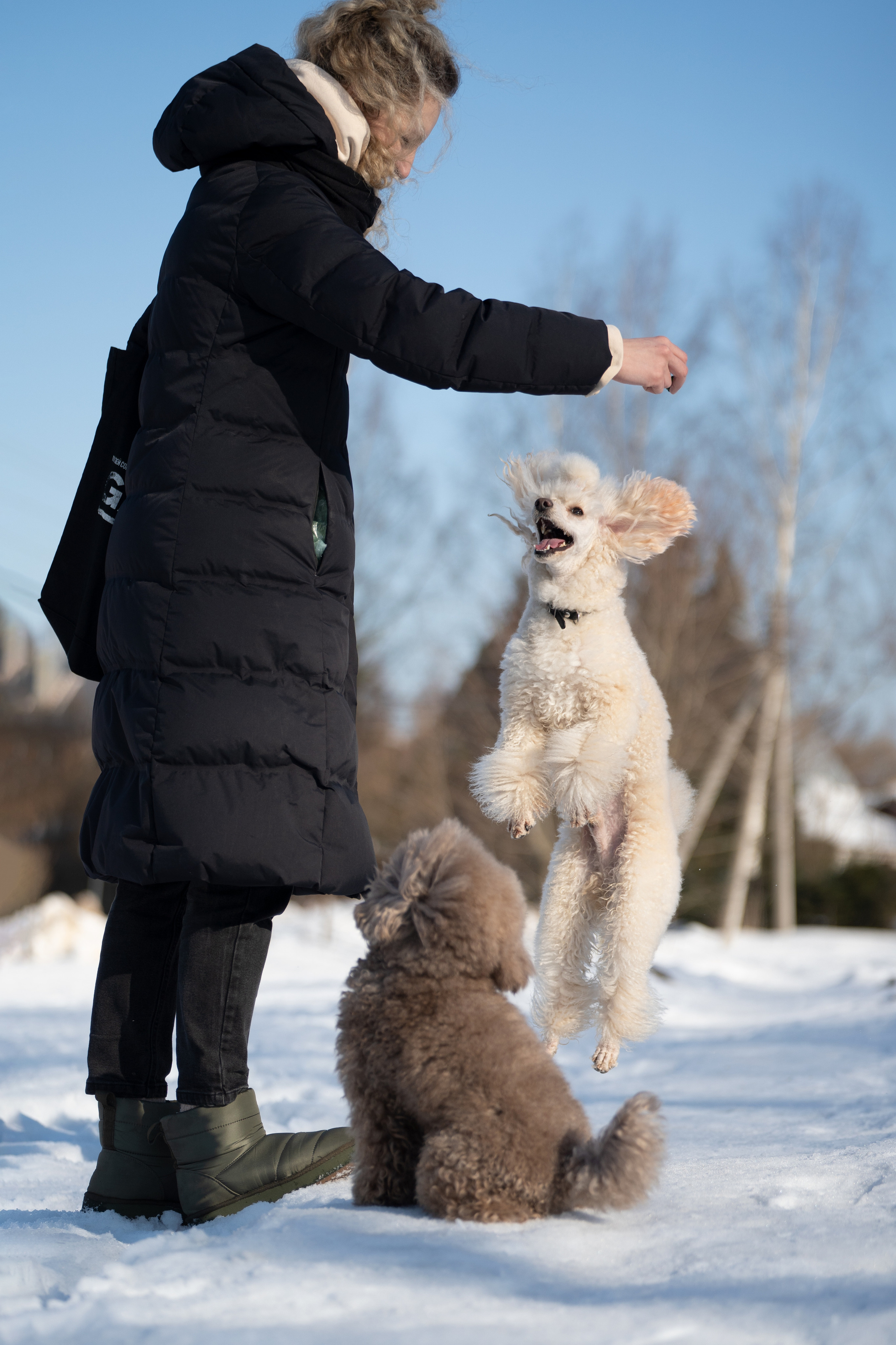 Миша Лева и Кристина. Фотограф анималист