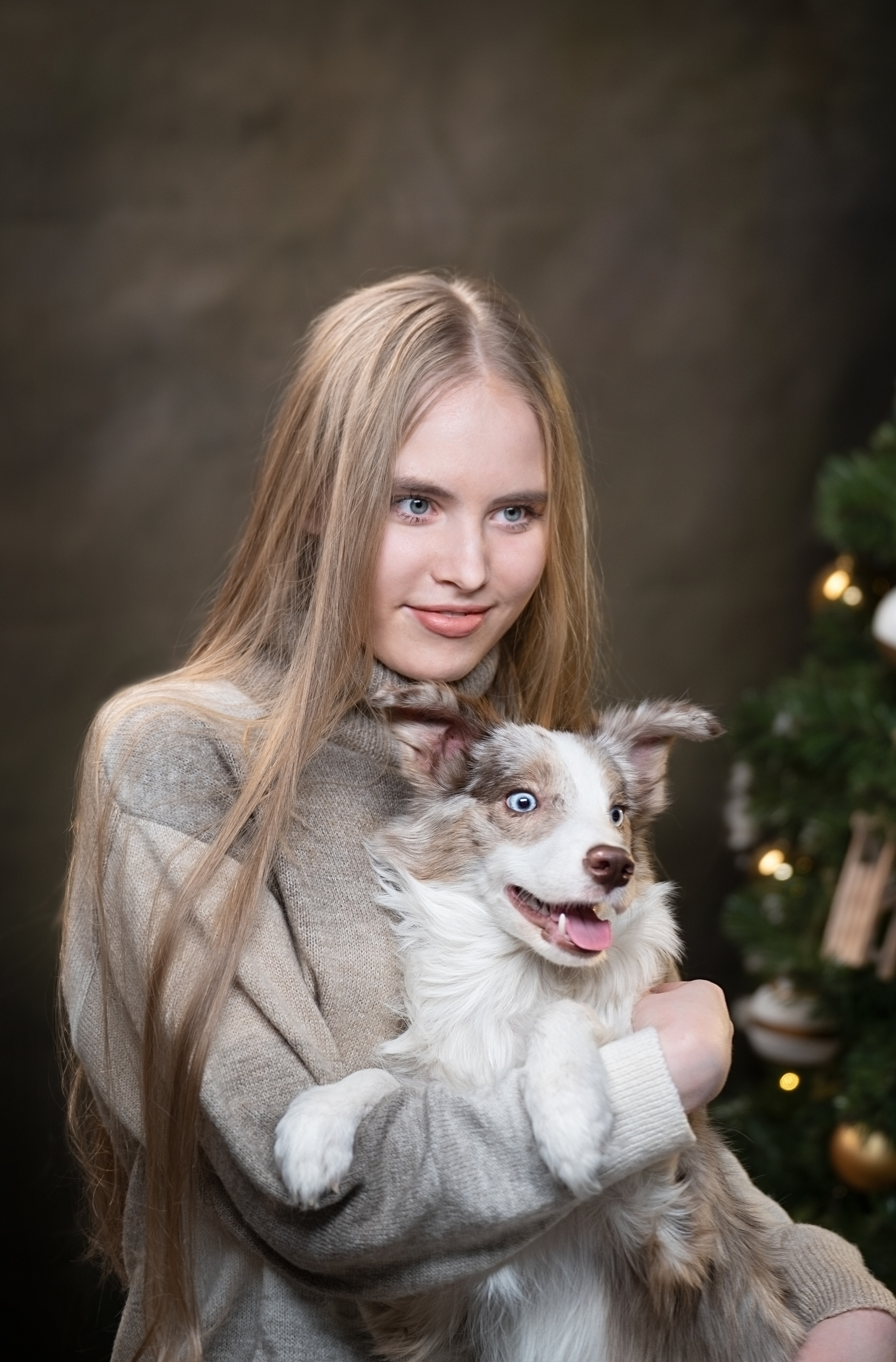 Лайма в студии. Фотограф анималист