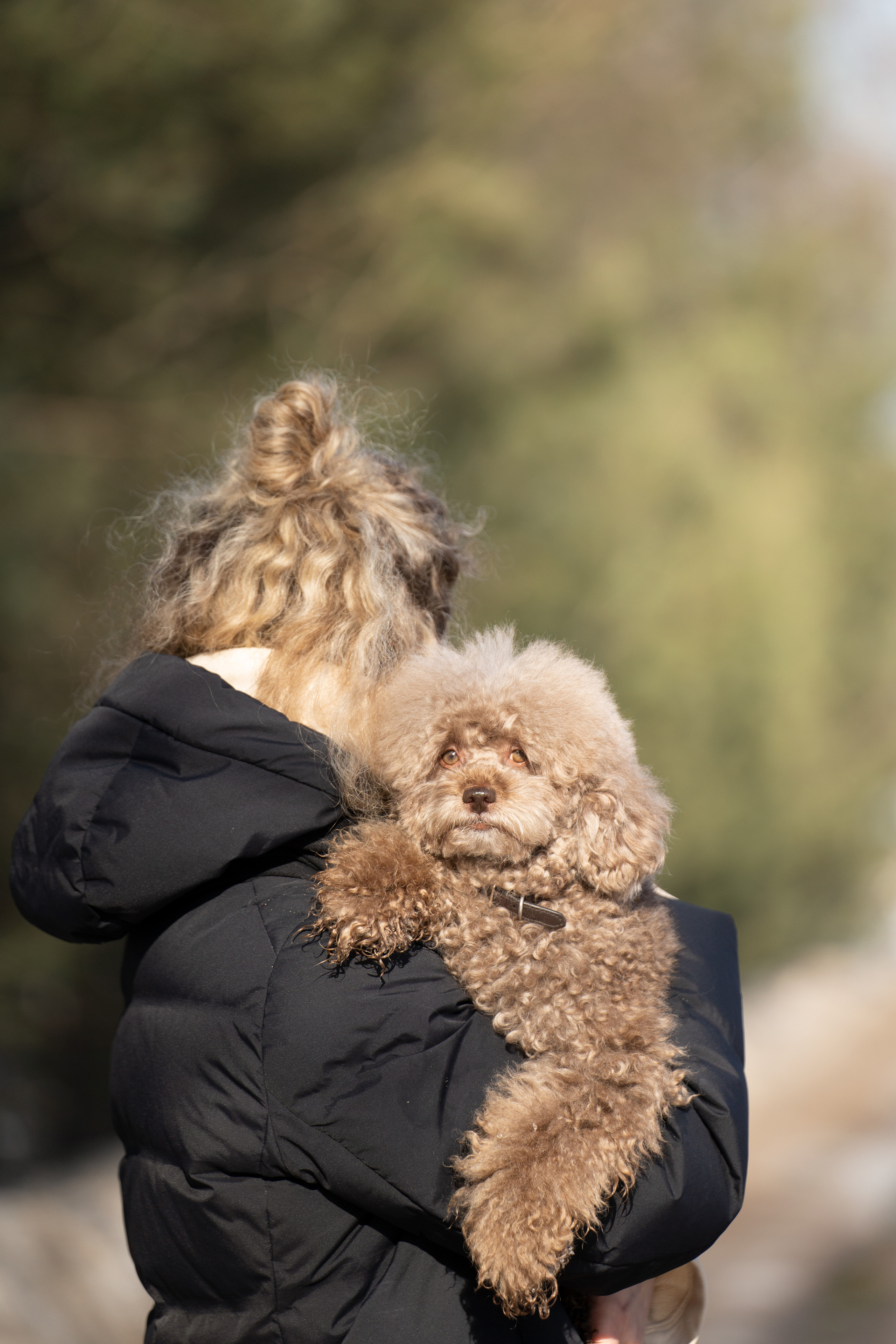 Миша Лева и Кристина. Фотограф анималист