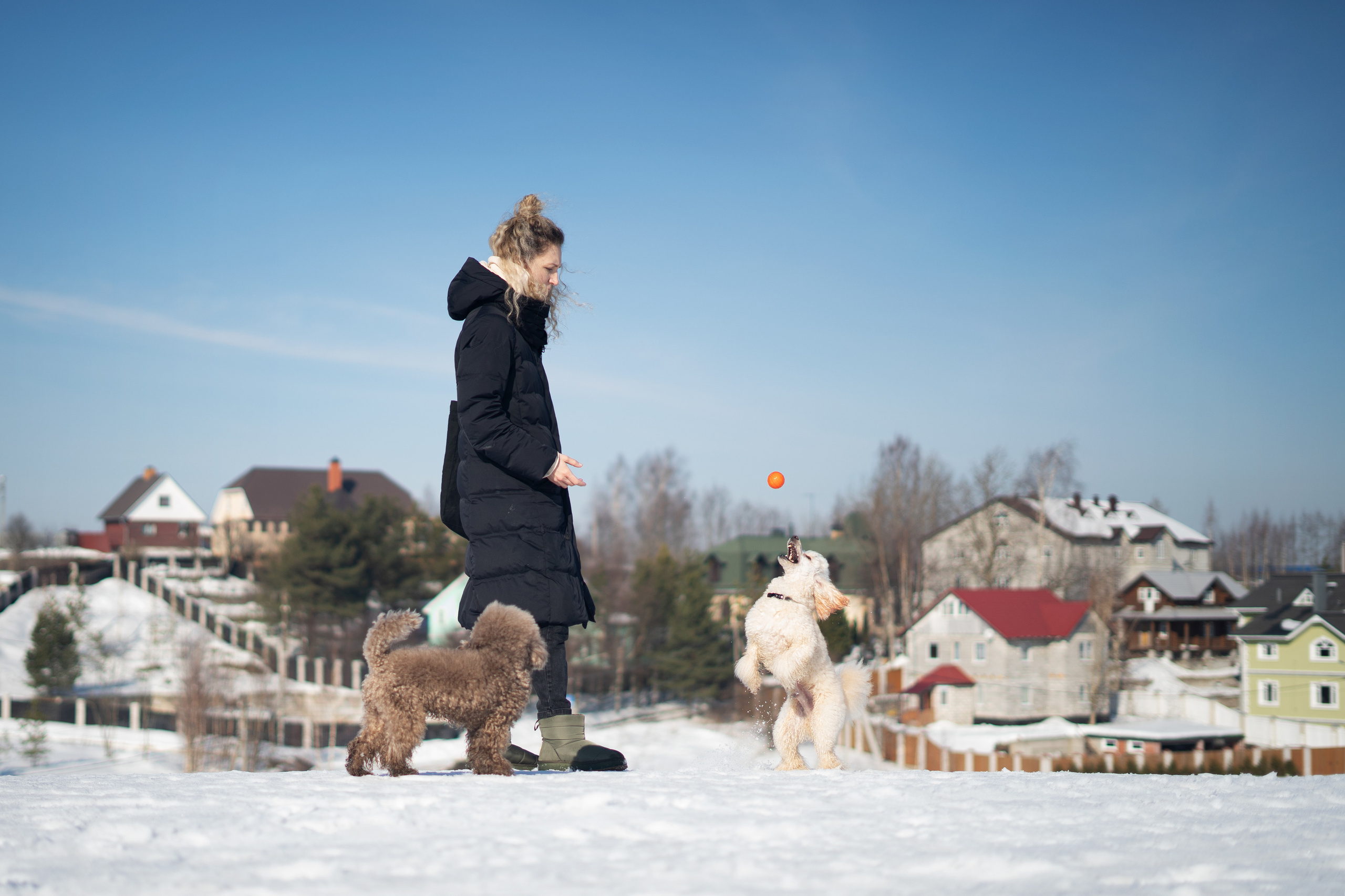 Миша Лева и Кристина. Фотограф анималист