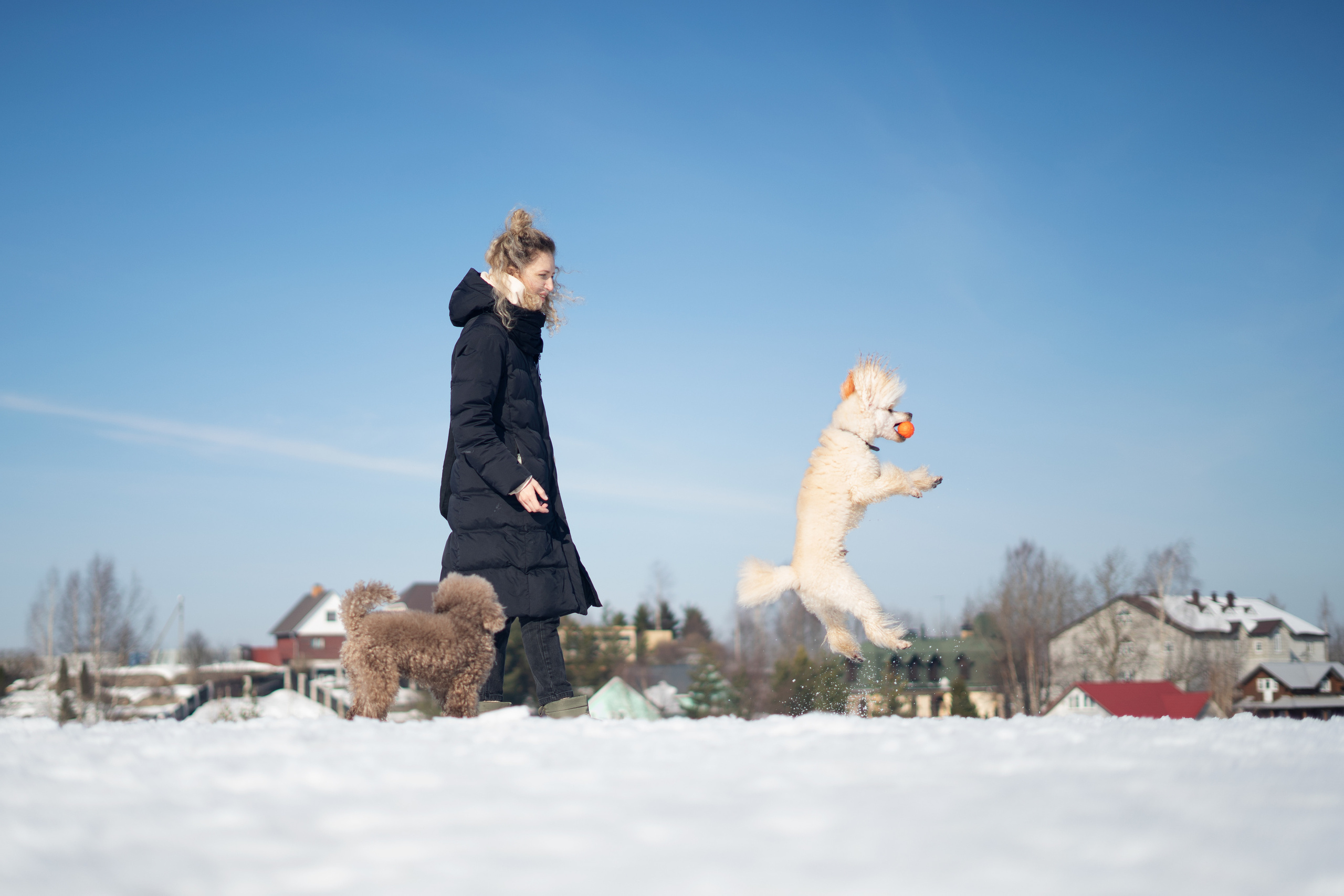 Миша Лева и Кристина. Фотограф анималист