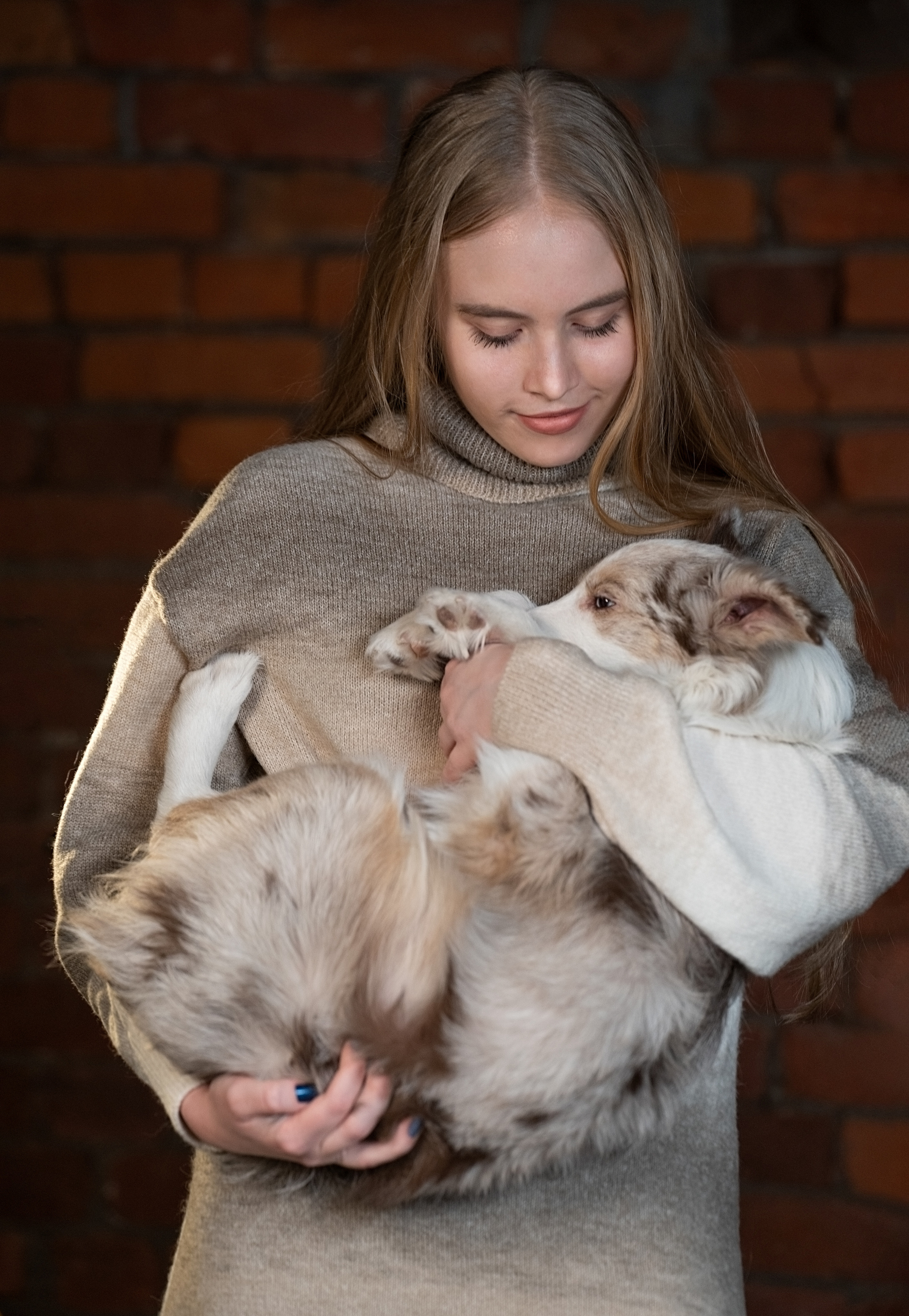 Лайма в студии. Фотограф анималист