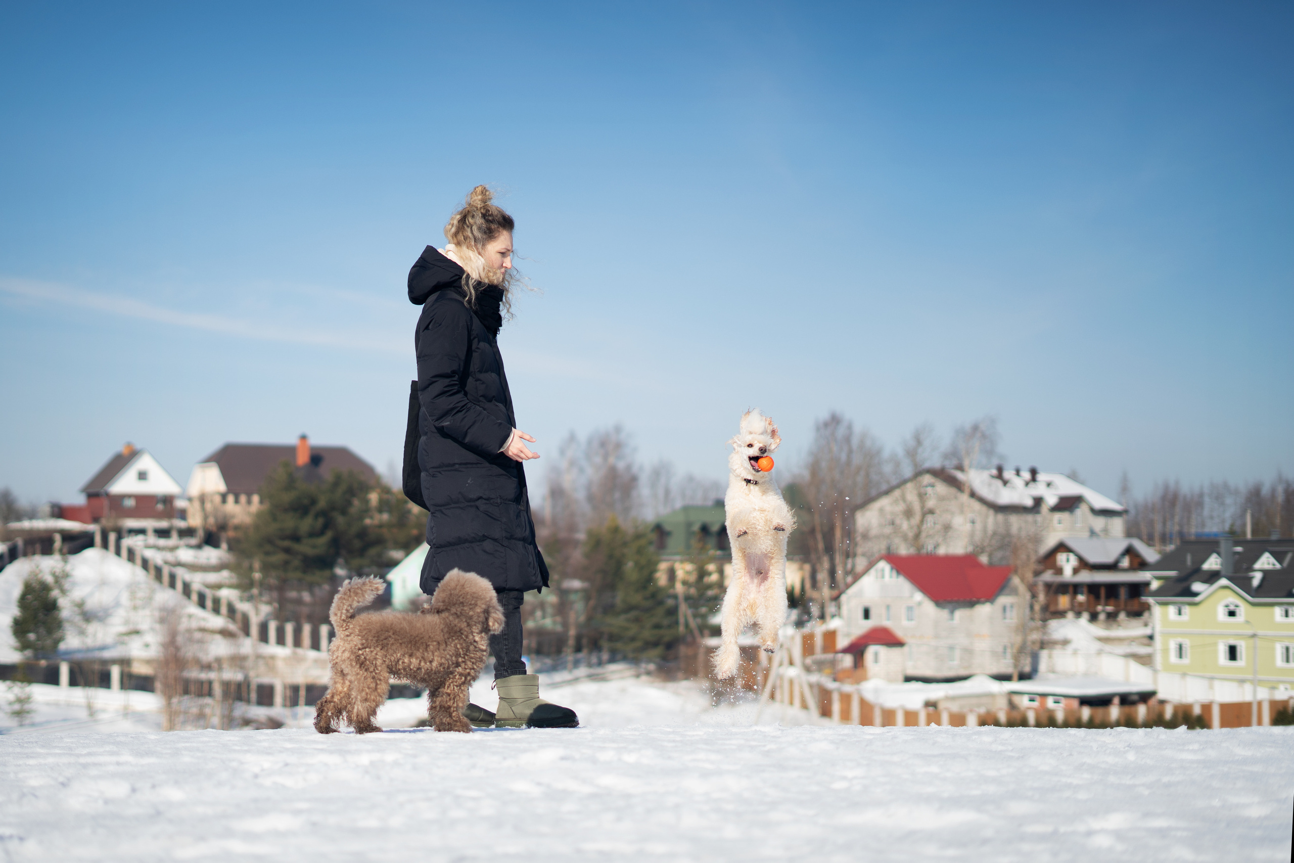 Миша Лева и Кристина. Фотограф анималист