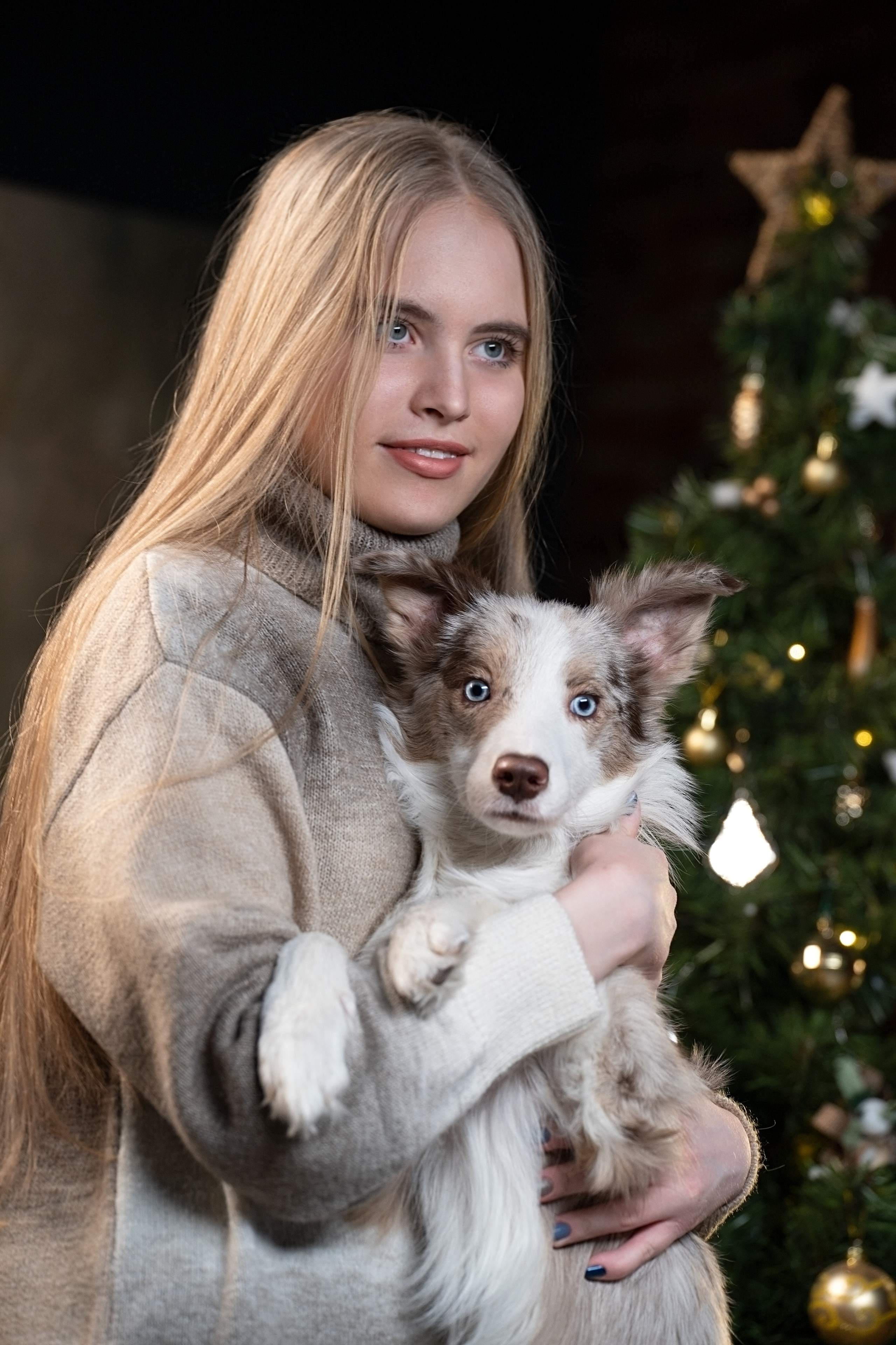 Лайма в студии. Фотограф анималист