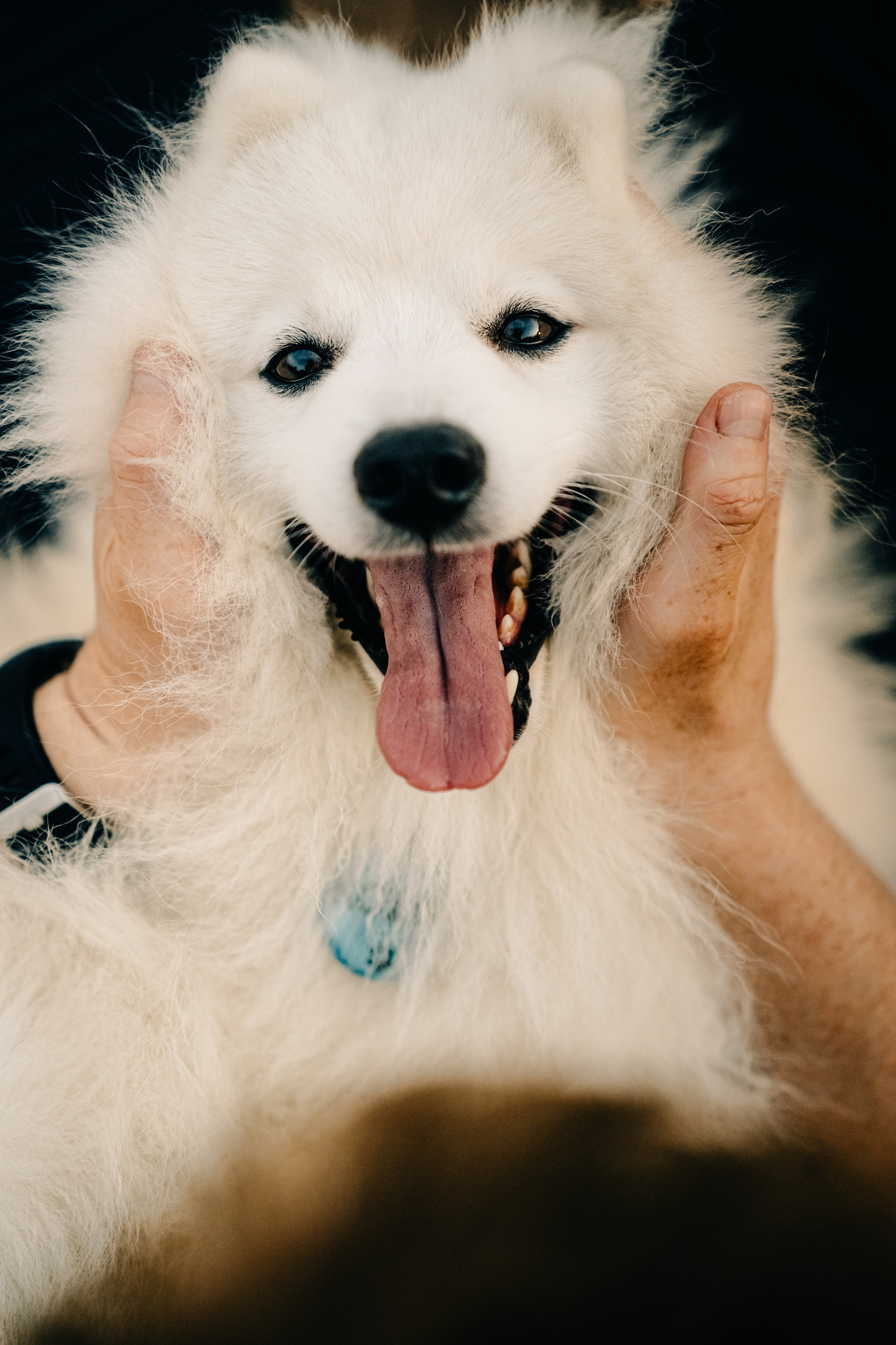 Зоопарк в моём багаже. Кошенкова Мария: портретный и репортажный фотограф. Санкт-Петербург