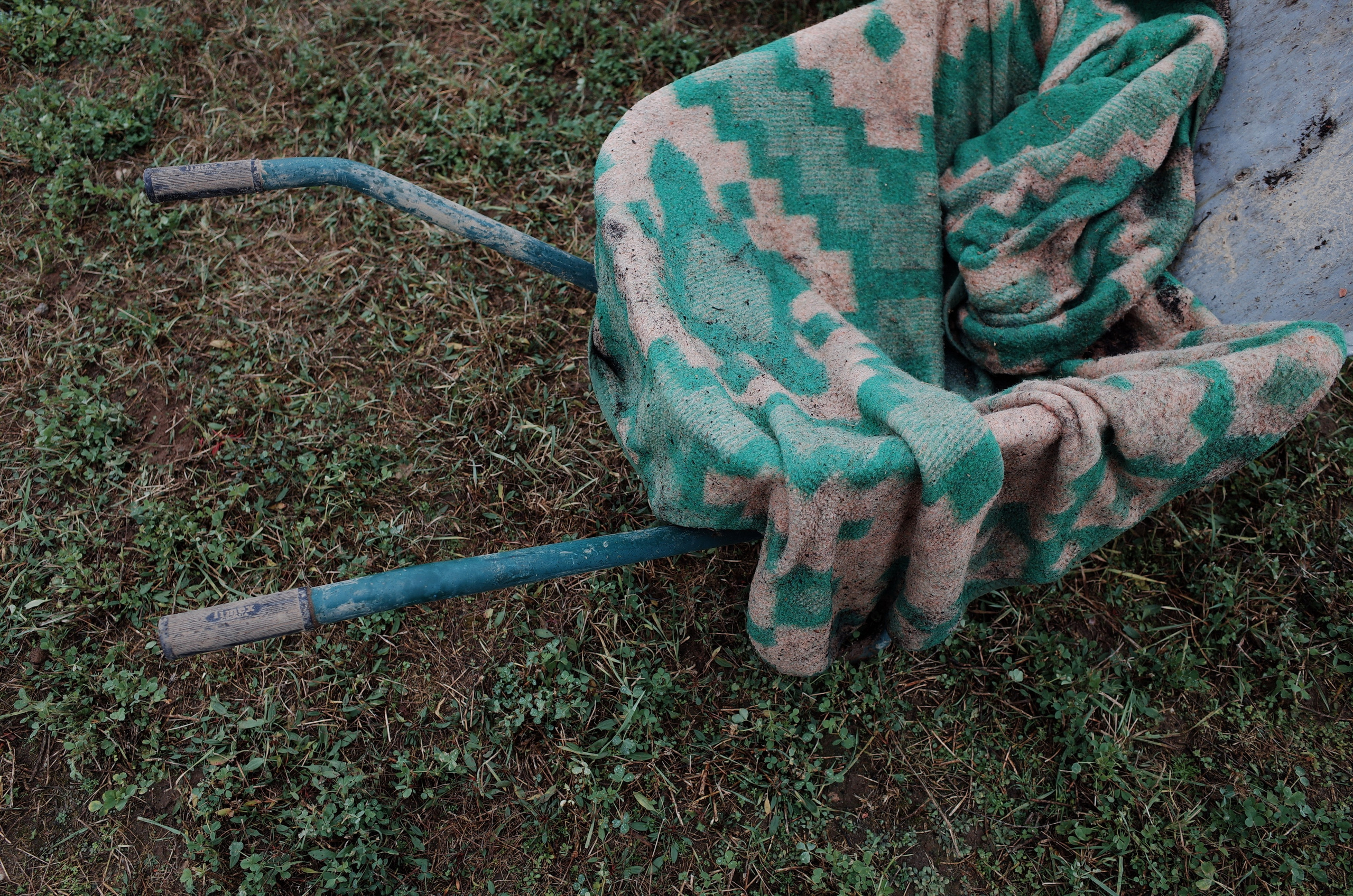 Farmers. Aleksander Chernov — Documentary filmmaker and photographer
