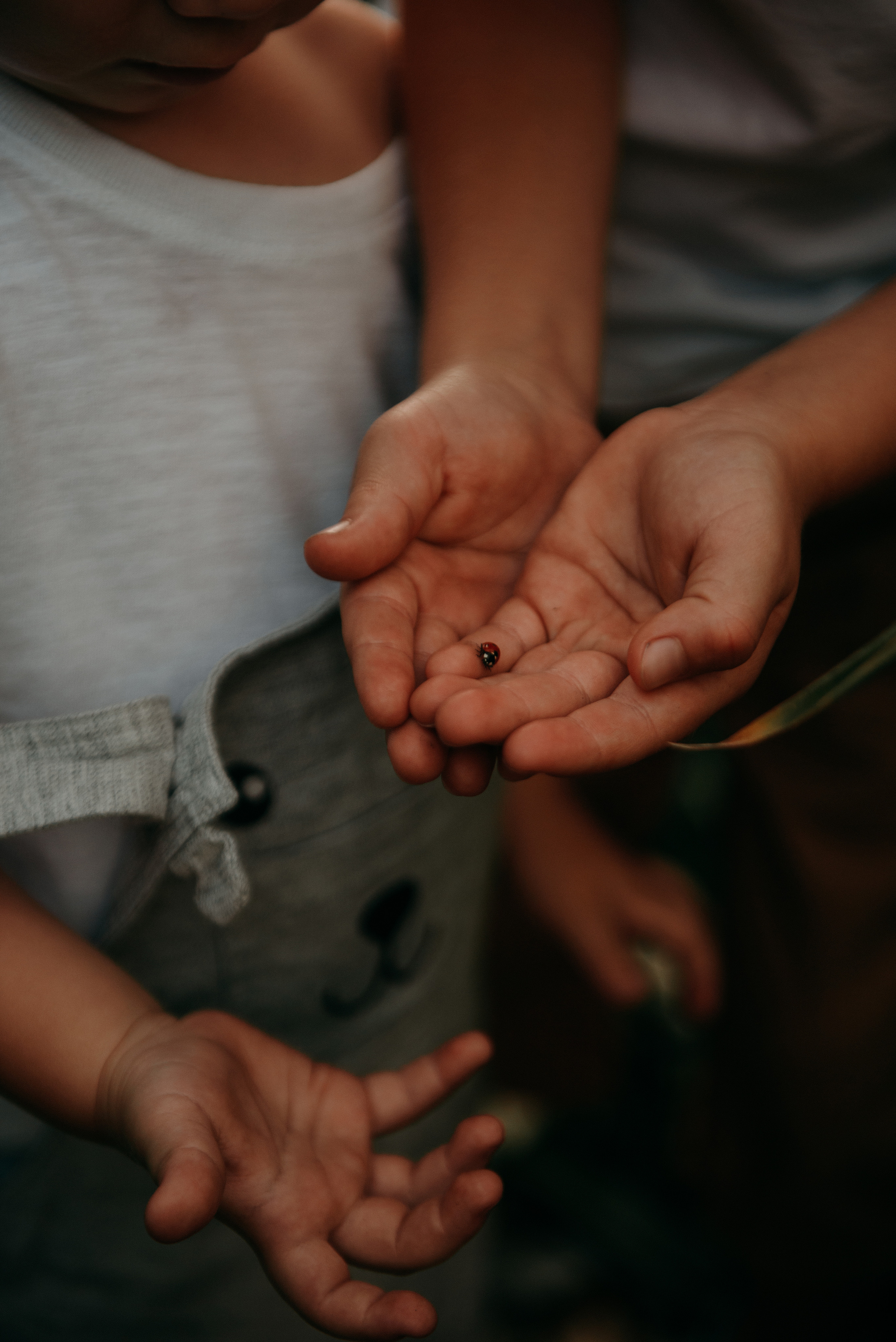 Кукуруза. Свадебный фотограф Белгород