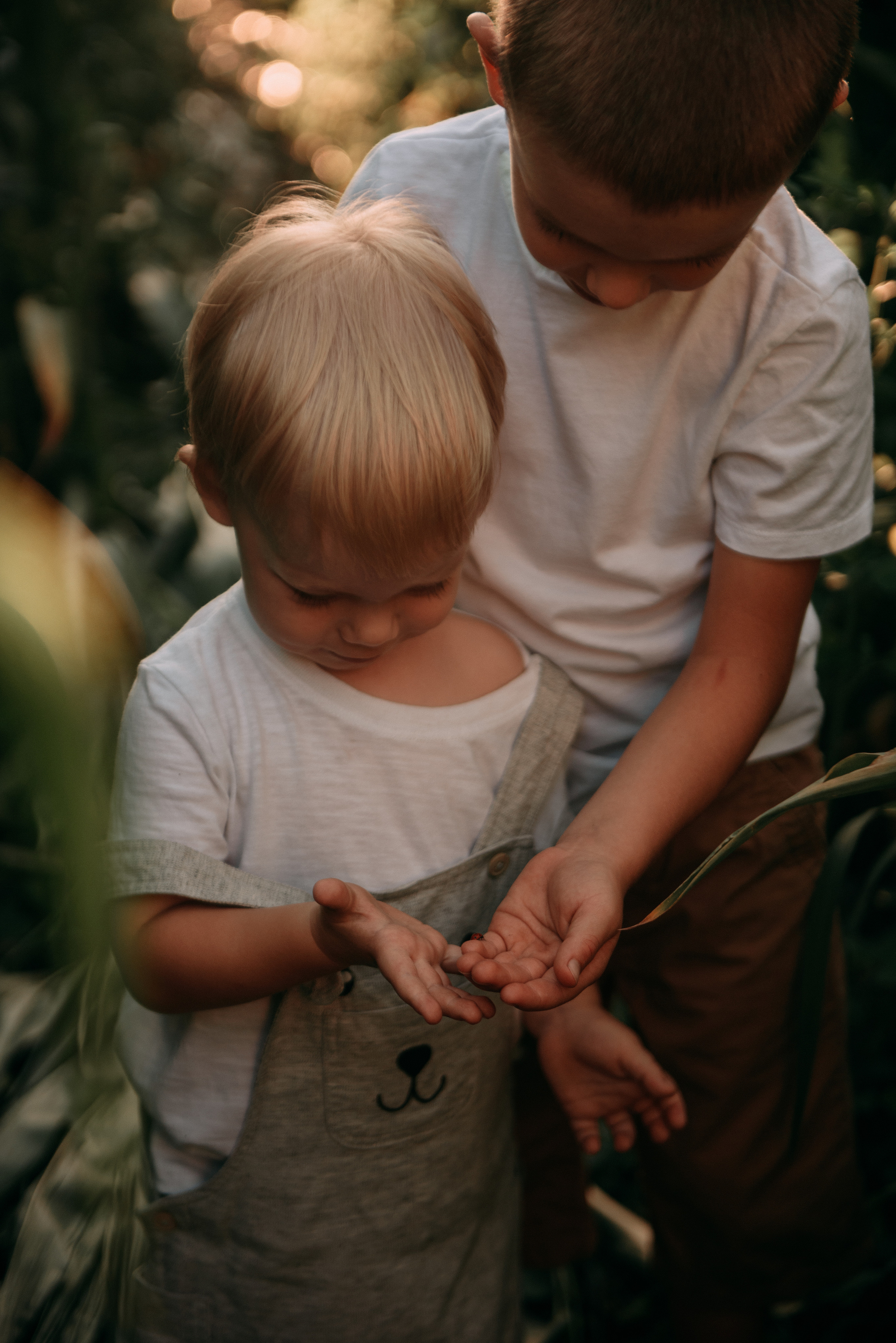 Кукуруза. Свадебный фотограф Белгород