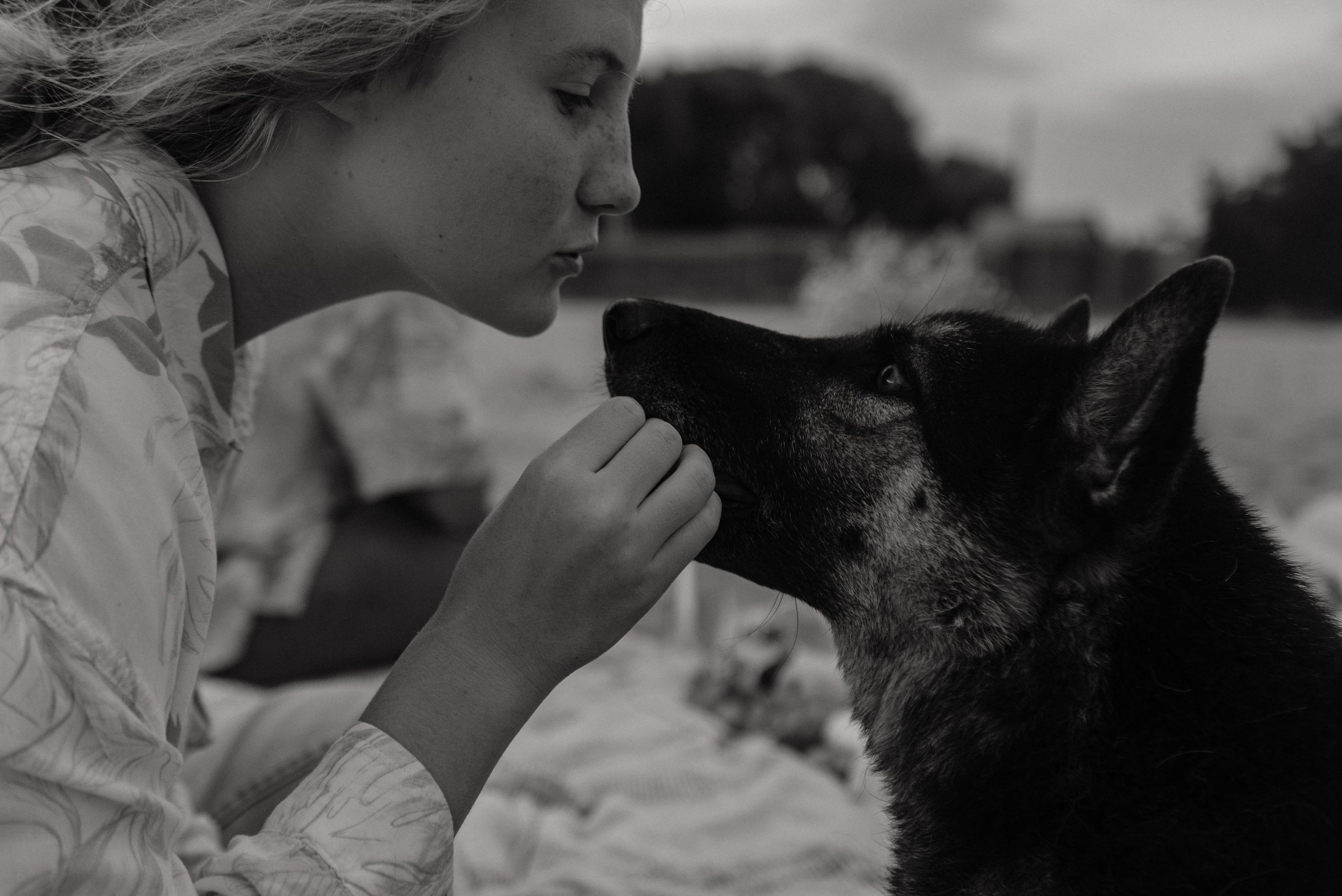 Пикник. Свадебный фотограф Белгород