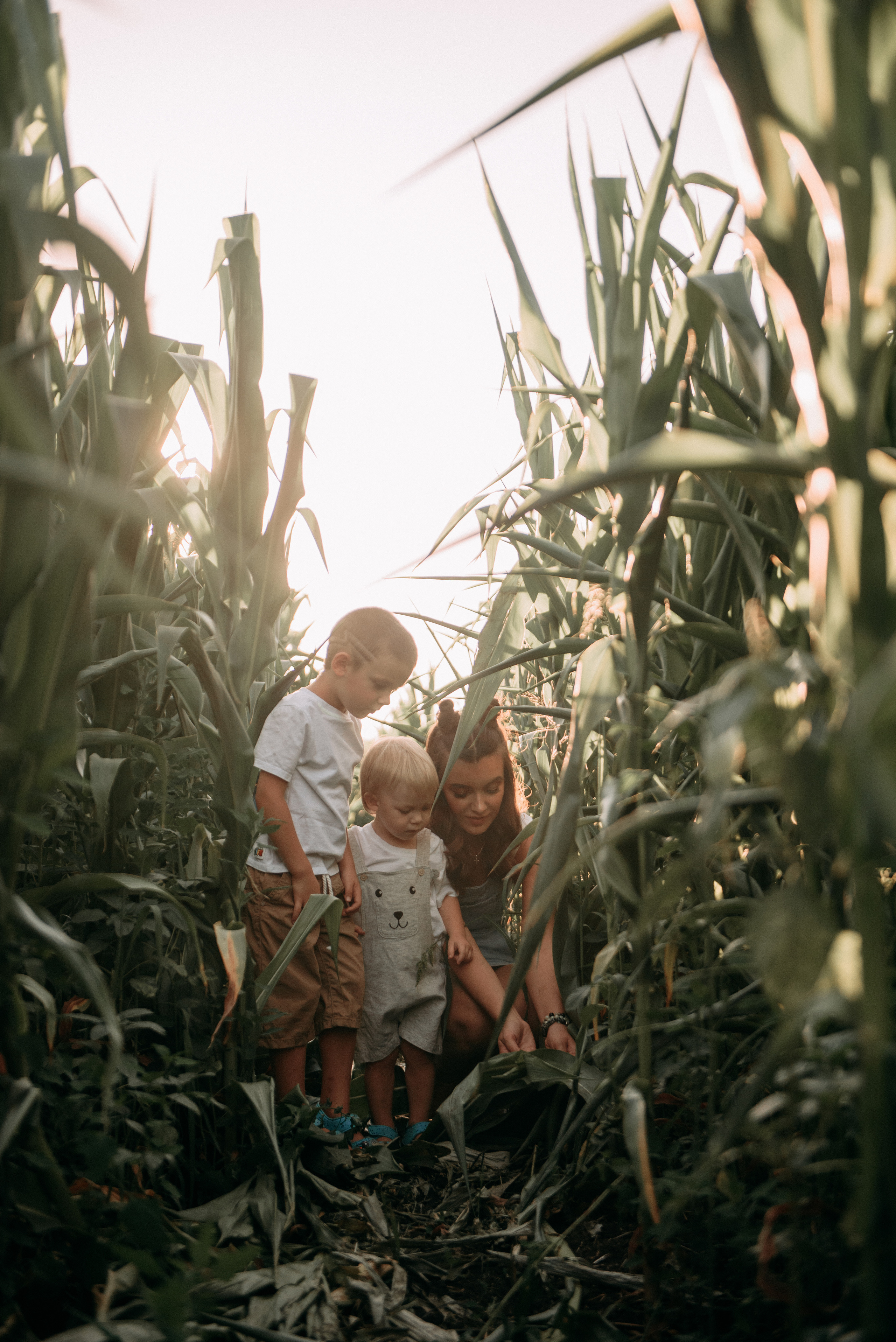 Кукуруза. Свадебный фотограф Белгород