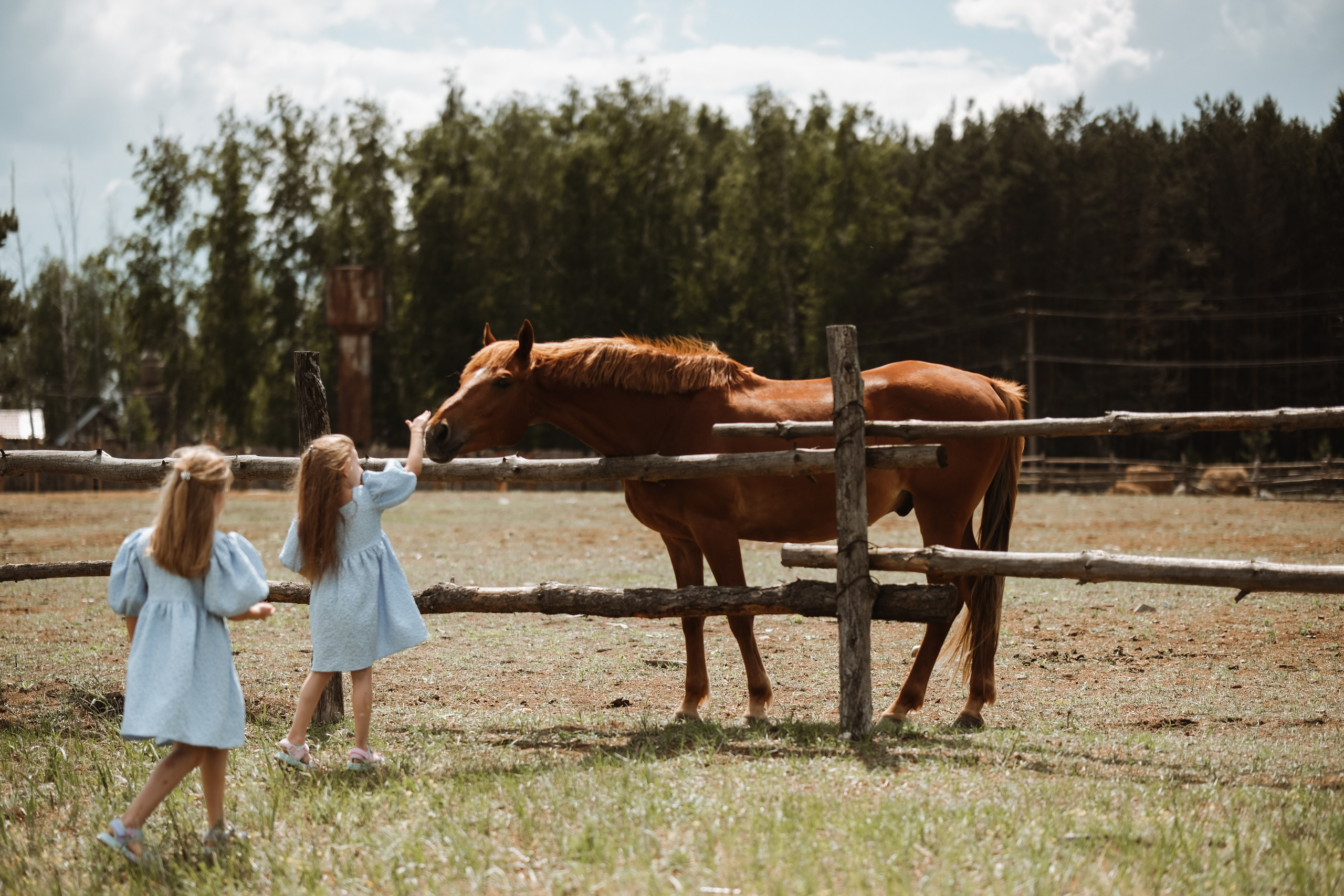 Фотосессия для деовчек!. Фотограф новорожденных в Брянске Анжелика Прохоренкова