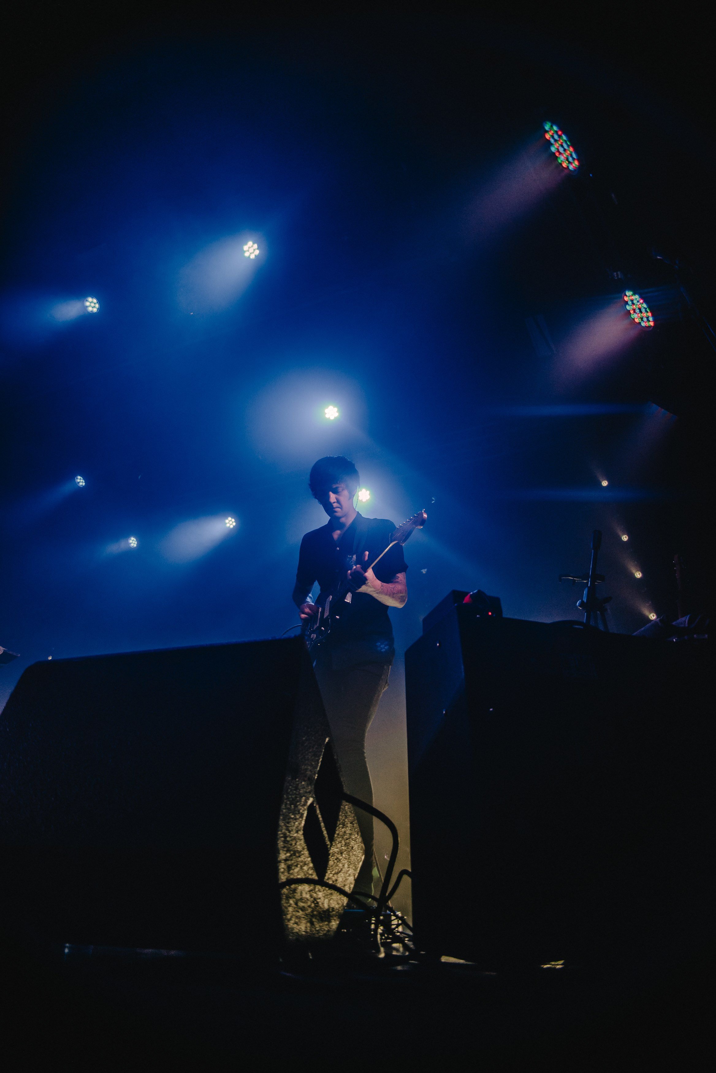 Дельфин | Gaudi. Контент фотограф Илья Урс