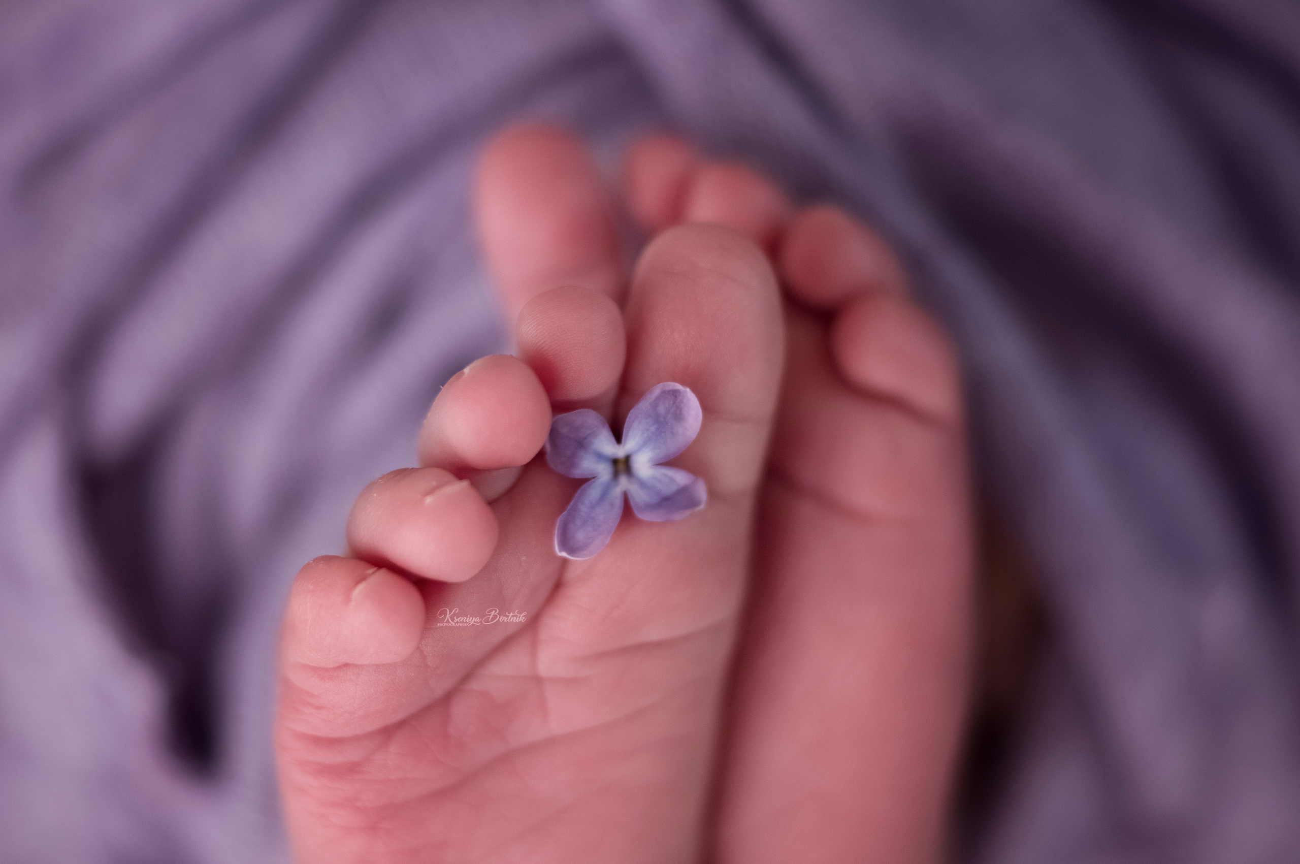 Съемка новорожденных. Профессиональный фотограф новорожденных Ксения Бортник