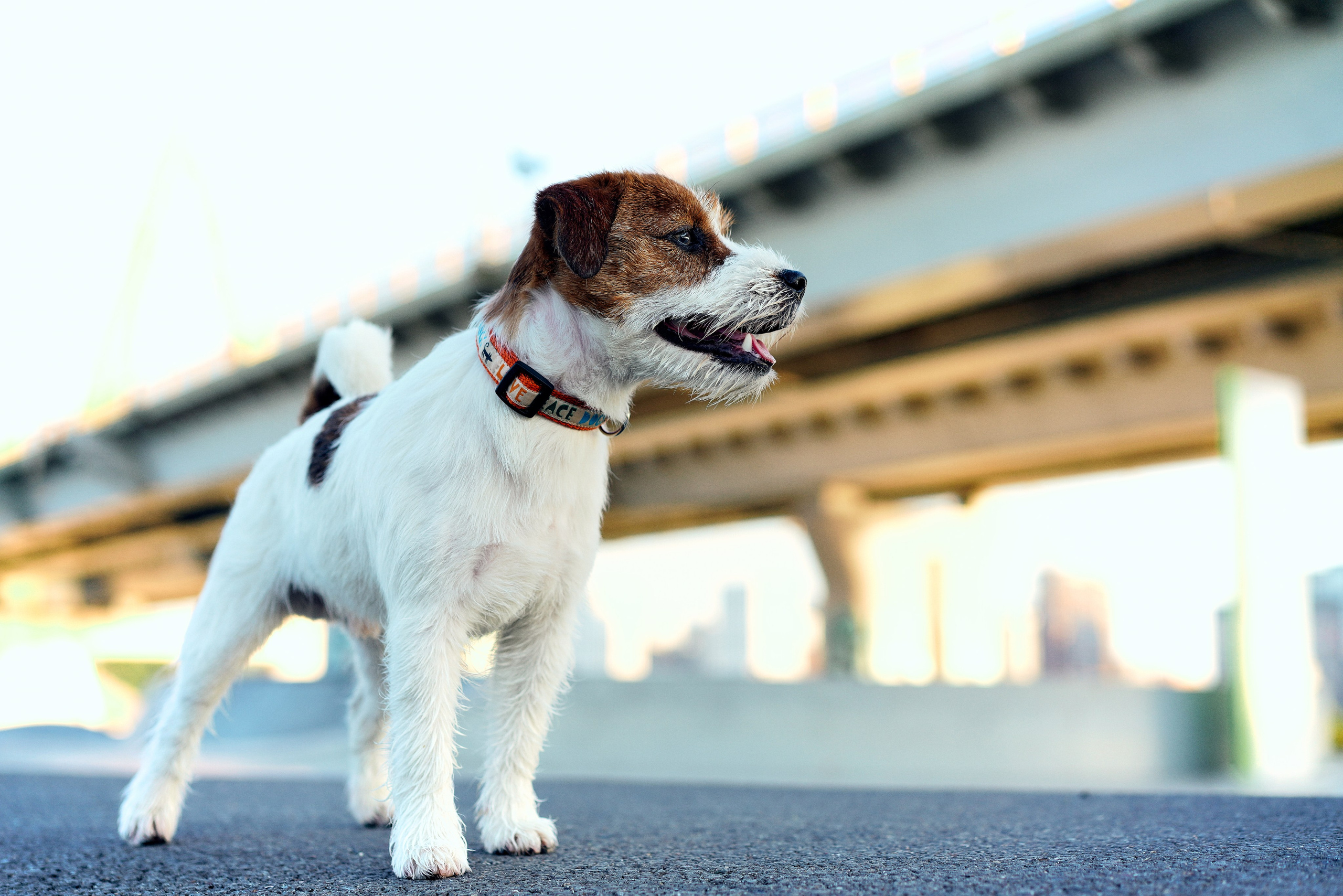 «Ты, Я и Виски». Фотограф Казань