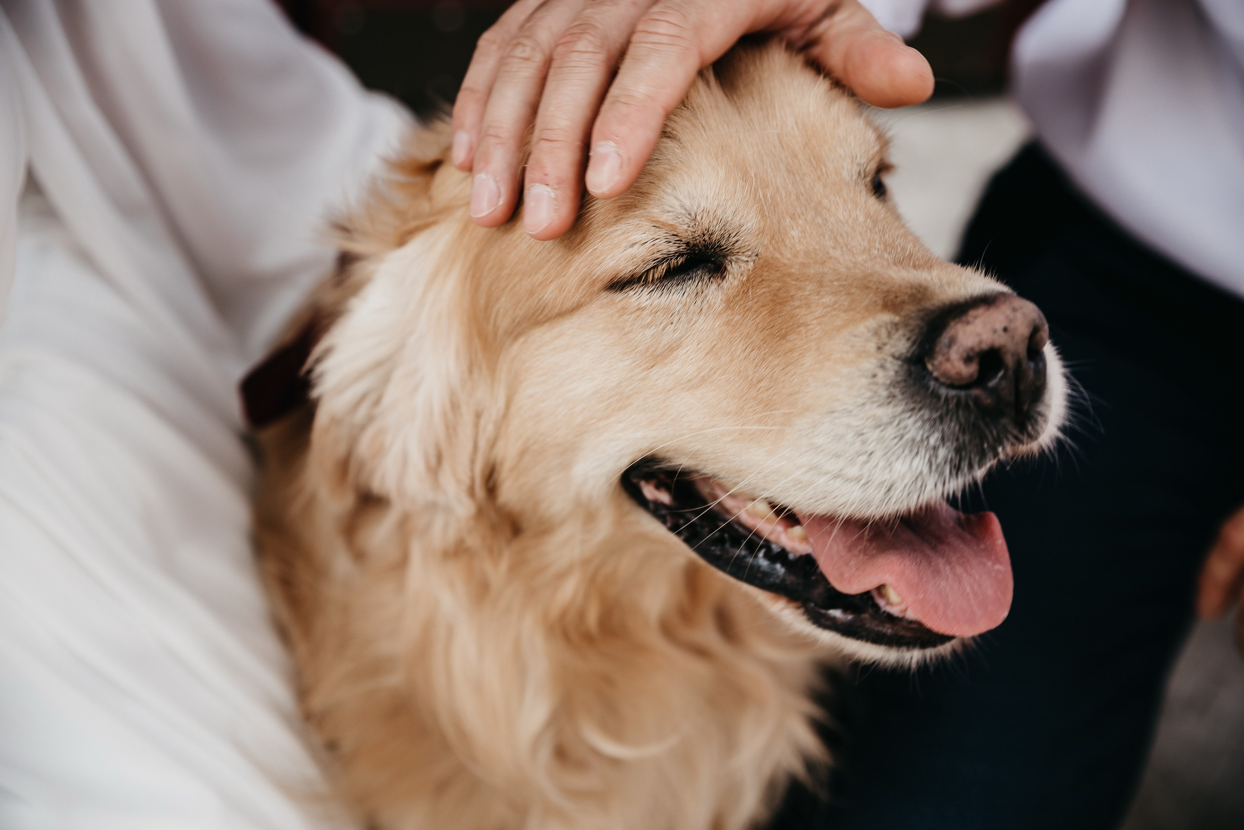 Роман и Валерия. Семейный фотограф в Самаре Елена Ефимова