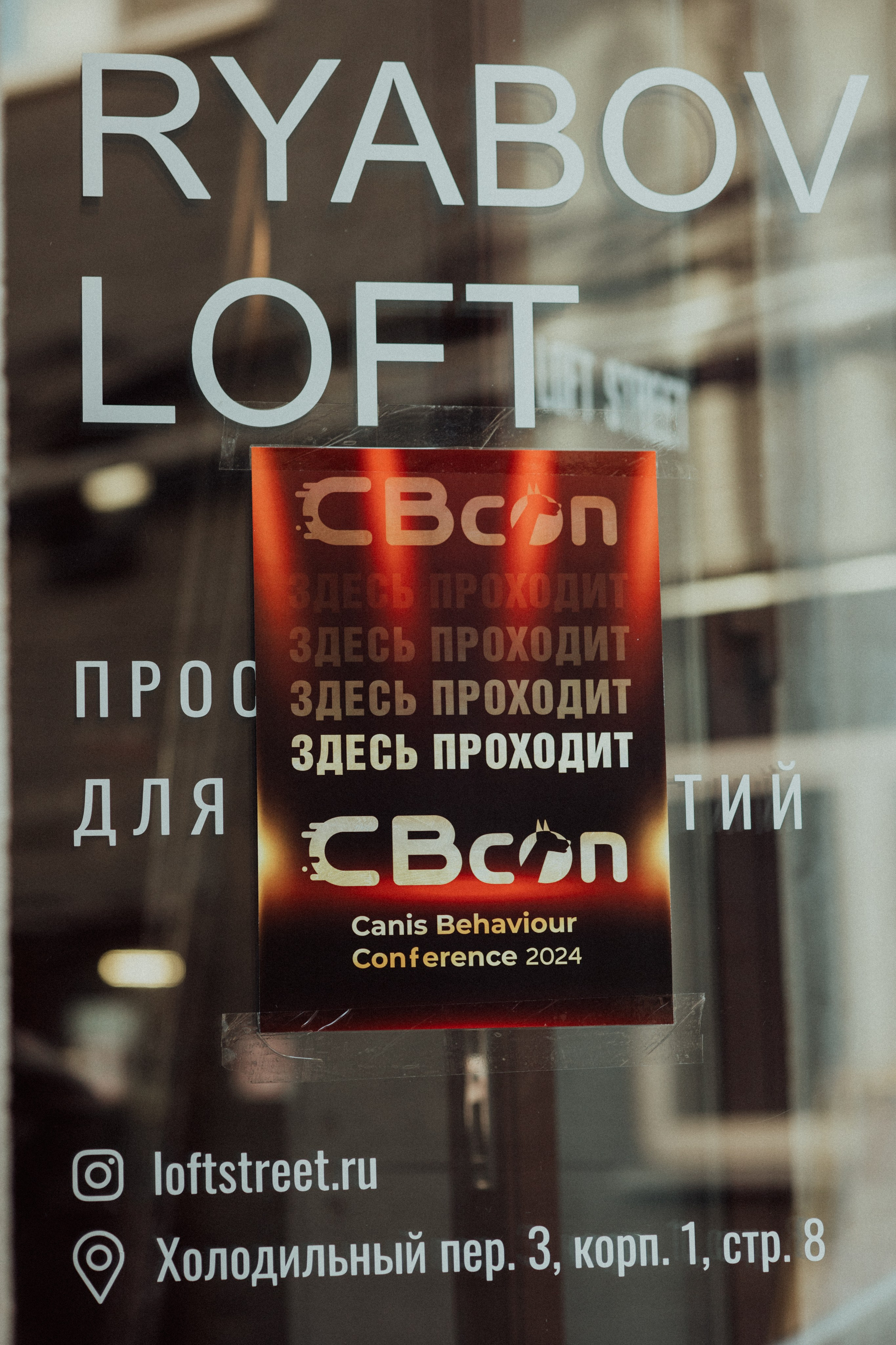 CBcon. Фотограф анималист в Москве Майорова Евгения