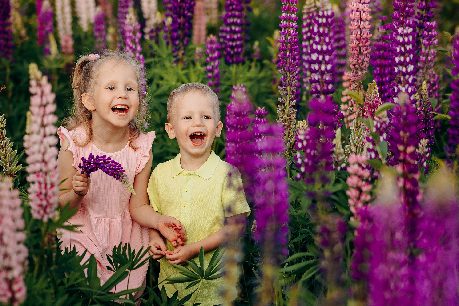Прогулка в люпиновом поле. Семейный фотограф в Пензе Мария Левина