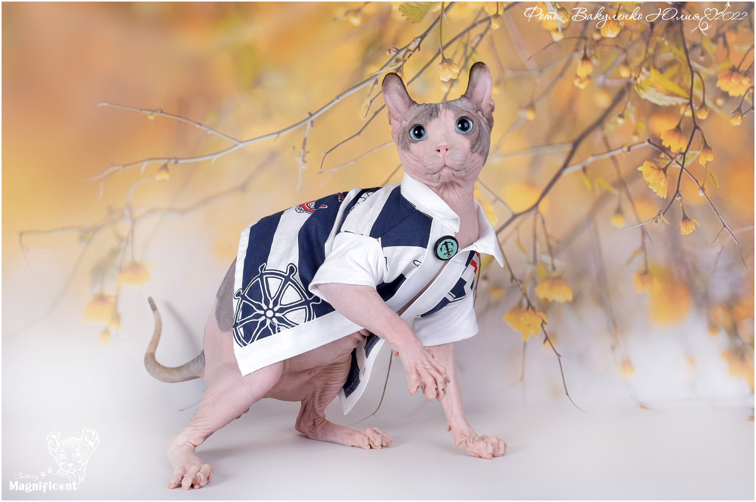 Взрослые. Фотограф анималист | семейный Юлия Вакуленко, г. Краснодар