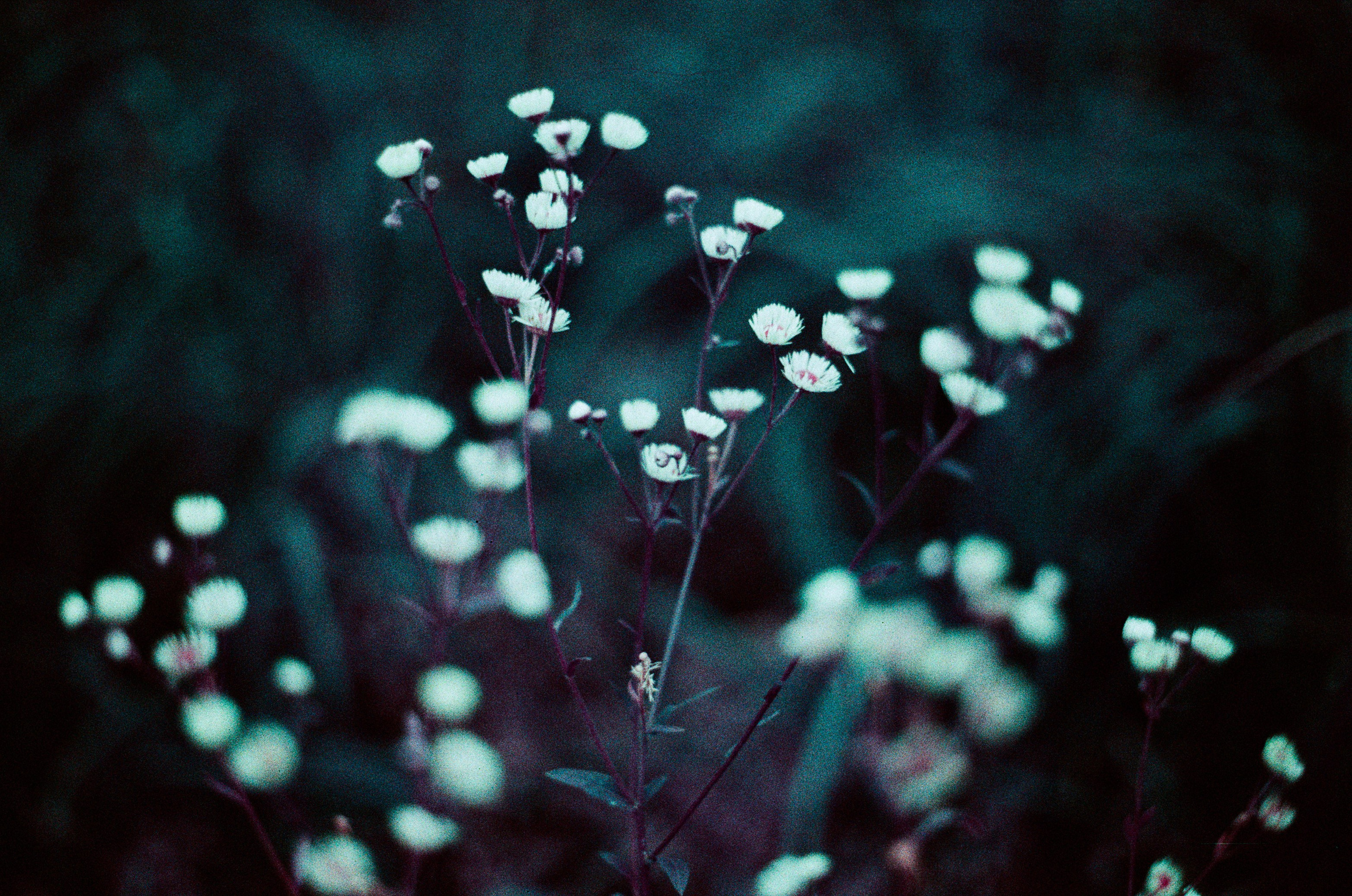 Purple overdose. EVER EXPOSED