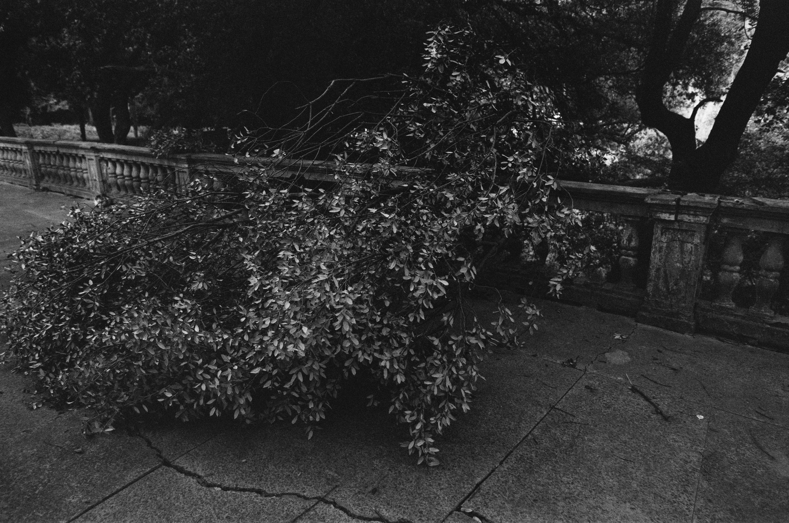 Oblomki chuvstv // ukraine, crimea II. EVER EXPOSED