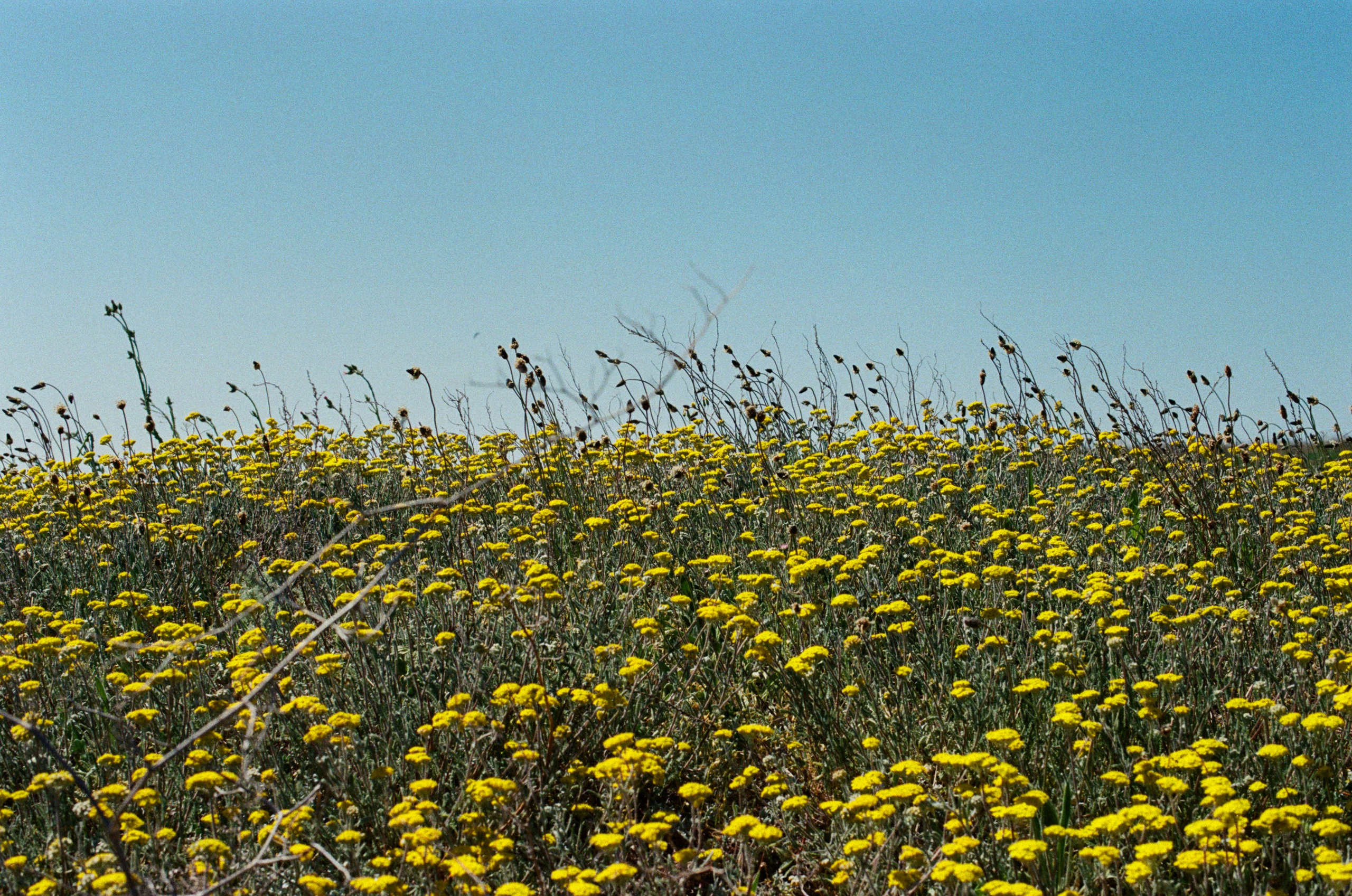 The drugs don't work // ukraine, crimea. EVER EXPOSED