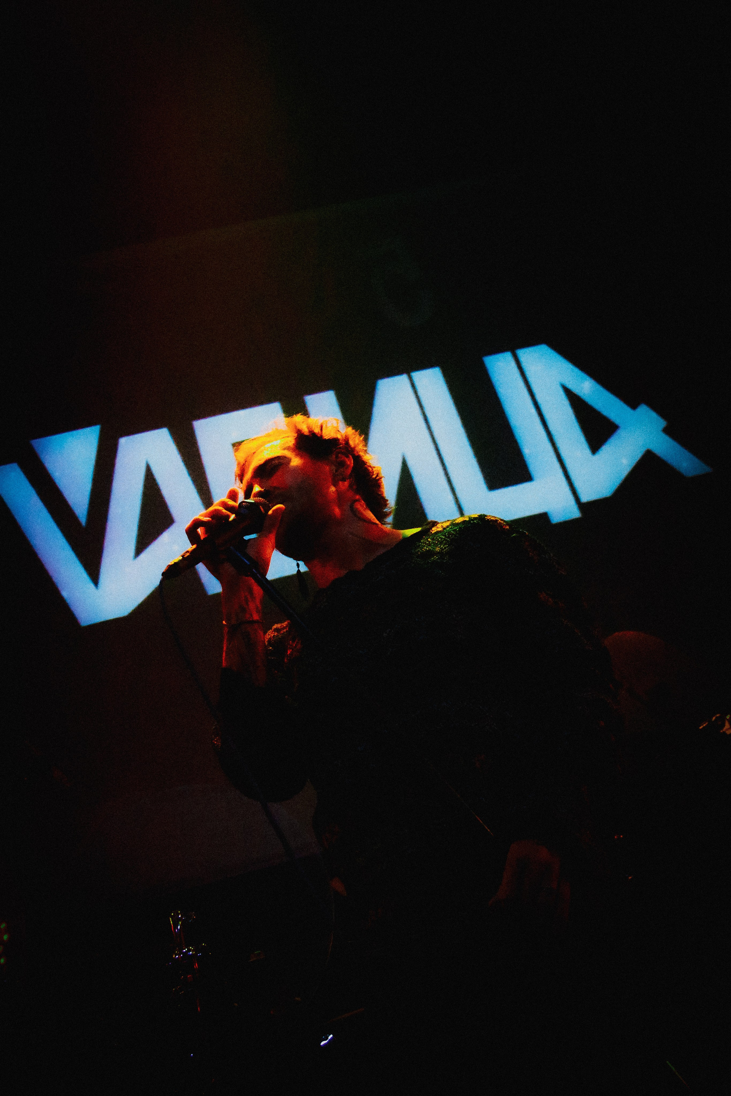 ПЛАВИЦА | ЛАСТОЧКА. Фотограф из Петербурга Софи Веритас Концерты и портреты