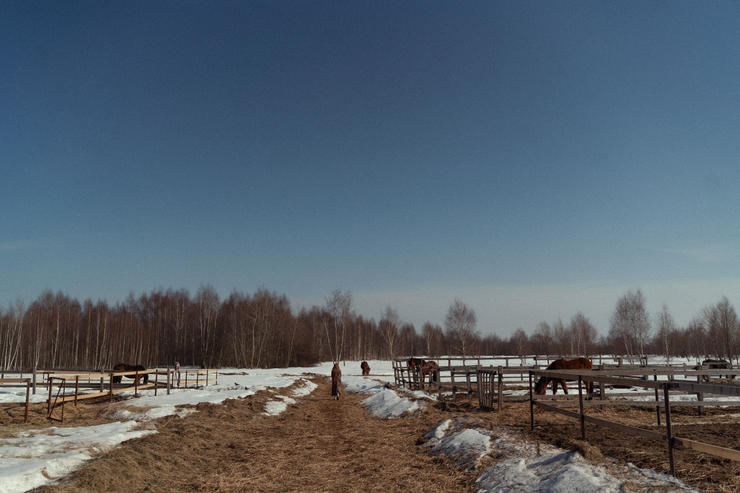 Дарья. FotoTanya. Раменское/Жуковский/Бронницы